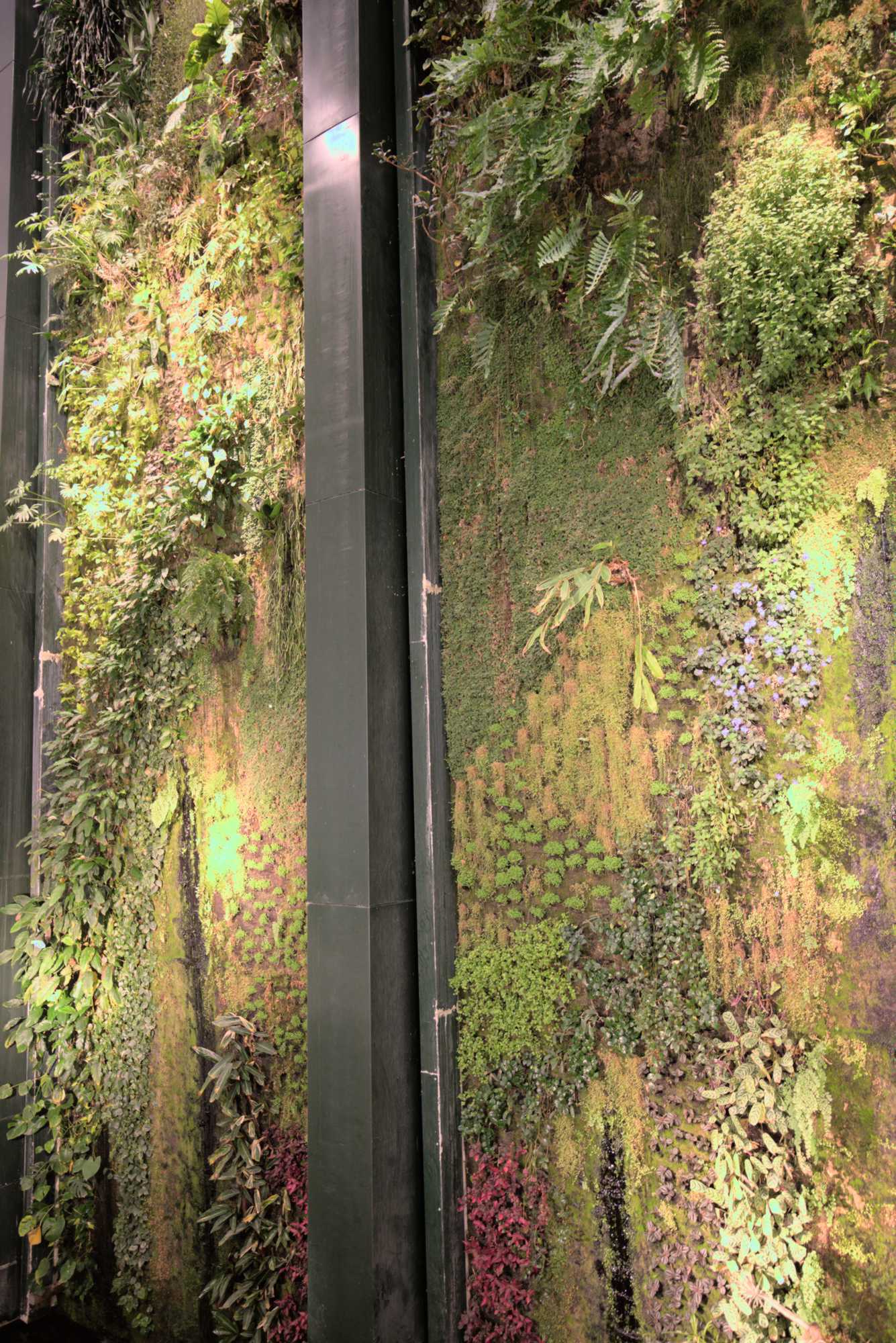 Lokation: Deutschland | Berlin | Mitte | KulturKaufhaus Kategorien: Pflanzenwand, Datum: 20.05.2017