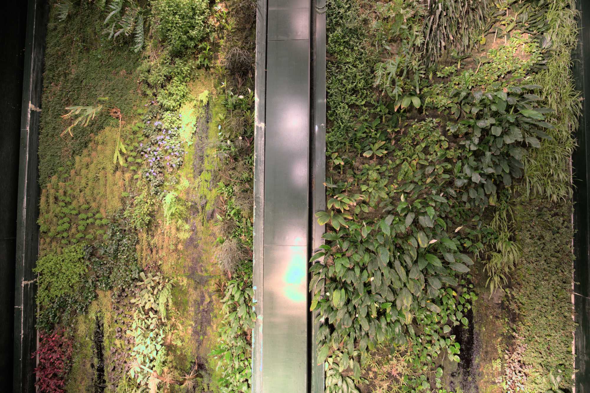 Lokation: Deutschland | Berlin | Mitte | KulturKaufhaus Kategorien: Pflanzenwand, Datum: 20.05.2017