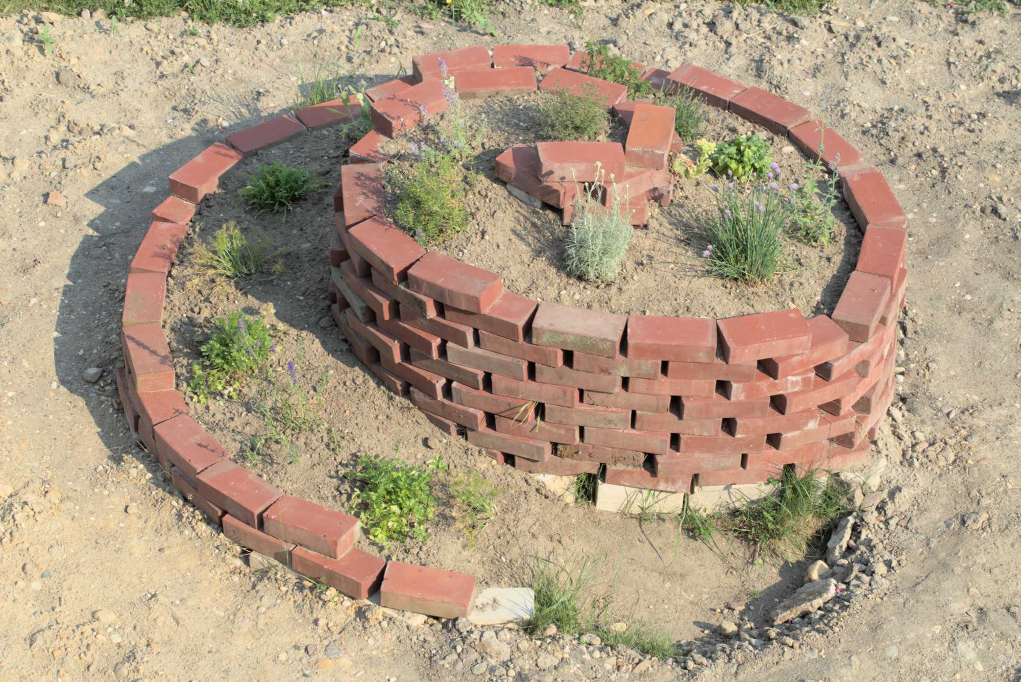 Lokation: Deutschland | Nordrhein-Westfalen | Heinsberg | Wassenberg Kategorien: Bau, Magerbeet, Hortus rusticus, Datum: 31.05.2017