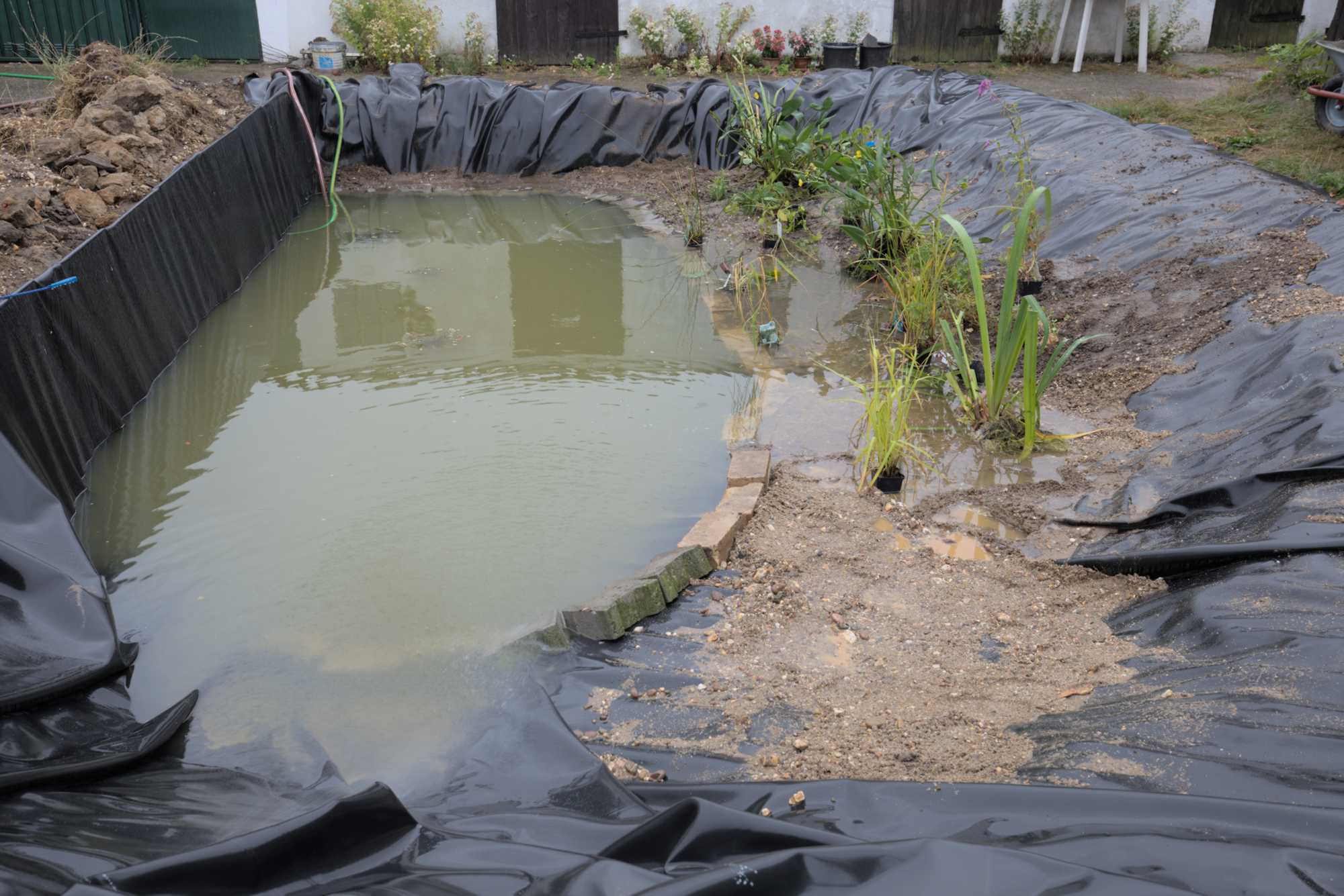 Lokation: Deutschland | Nordrhein-Westfalen | Heinsberg | Wassenberg Kategorien: Teich, Bau, Hortus rusticus, Datum: 01.07.2017