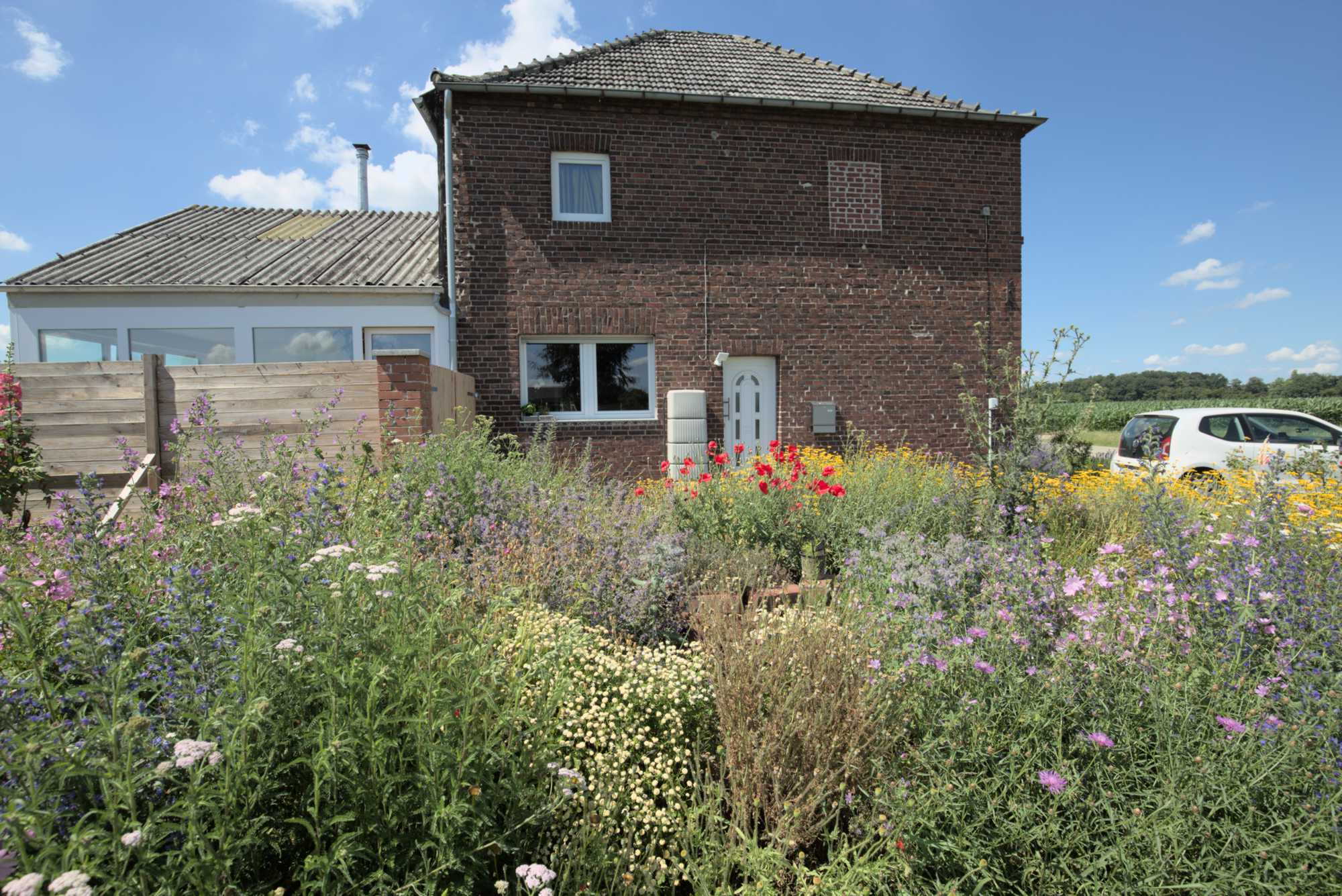 Lokation: Deutschland | Nordrhein-Westfalen | Heinsberg | Wassenberg Kategorien: Naturgarten, Magerbeet, Hortus rusticus, Landhausgarten, Datum: 20.06.2018