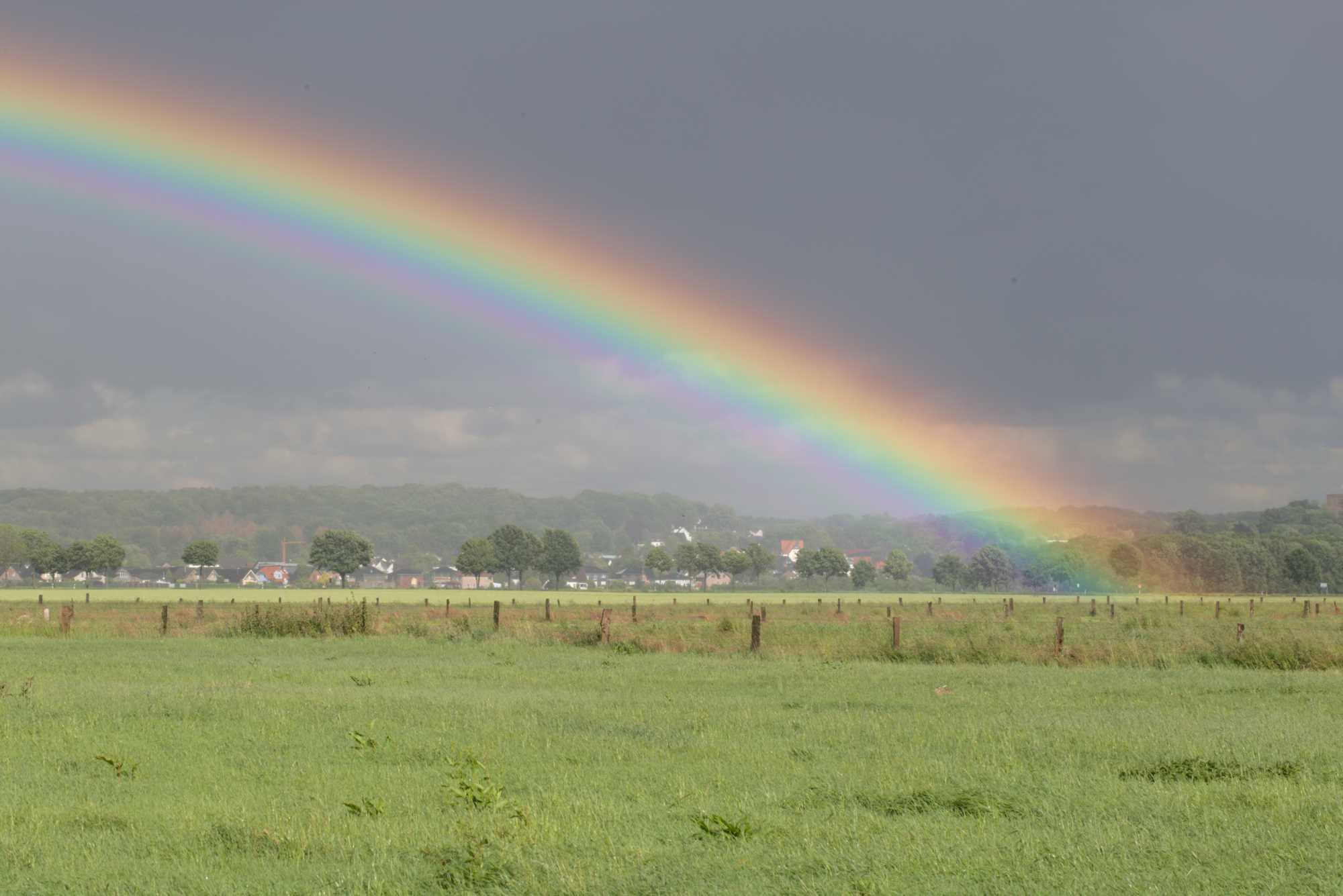 Lokation: Deutschland | Nordrhein-Westfalen | Heinsberg | Wassenberg Kategorien: Regenbogen, Hortus rusticus, Datum: 08.06.2019