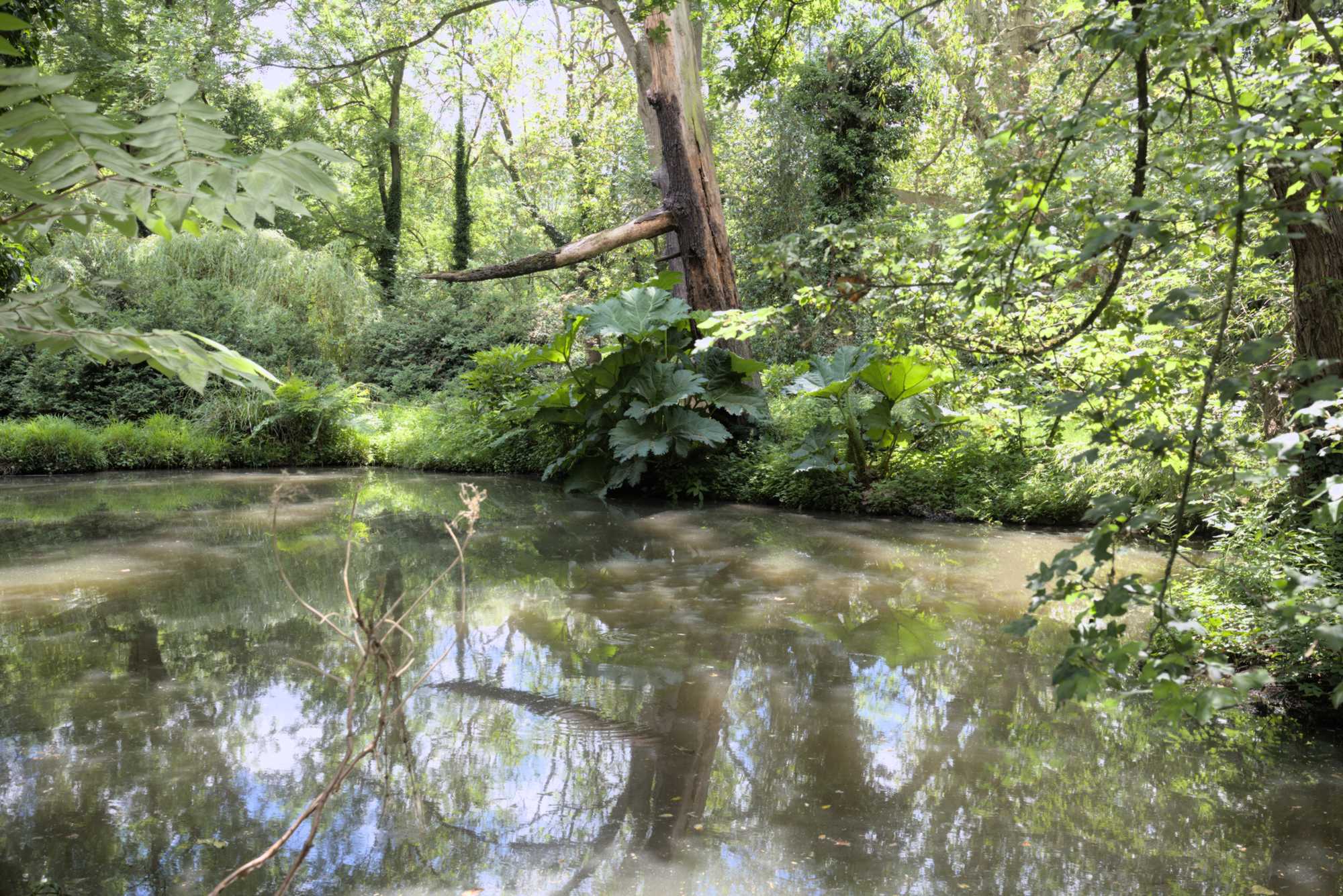 Lokation: Deutschland | Nordrhein-Westfalen | Neuss | Museum Insel Hombroich Kategorien: Museum, Datum: 21.06.2019