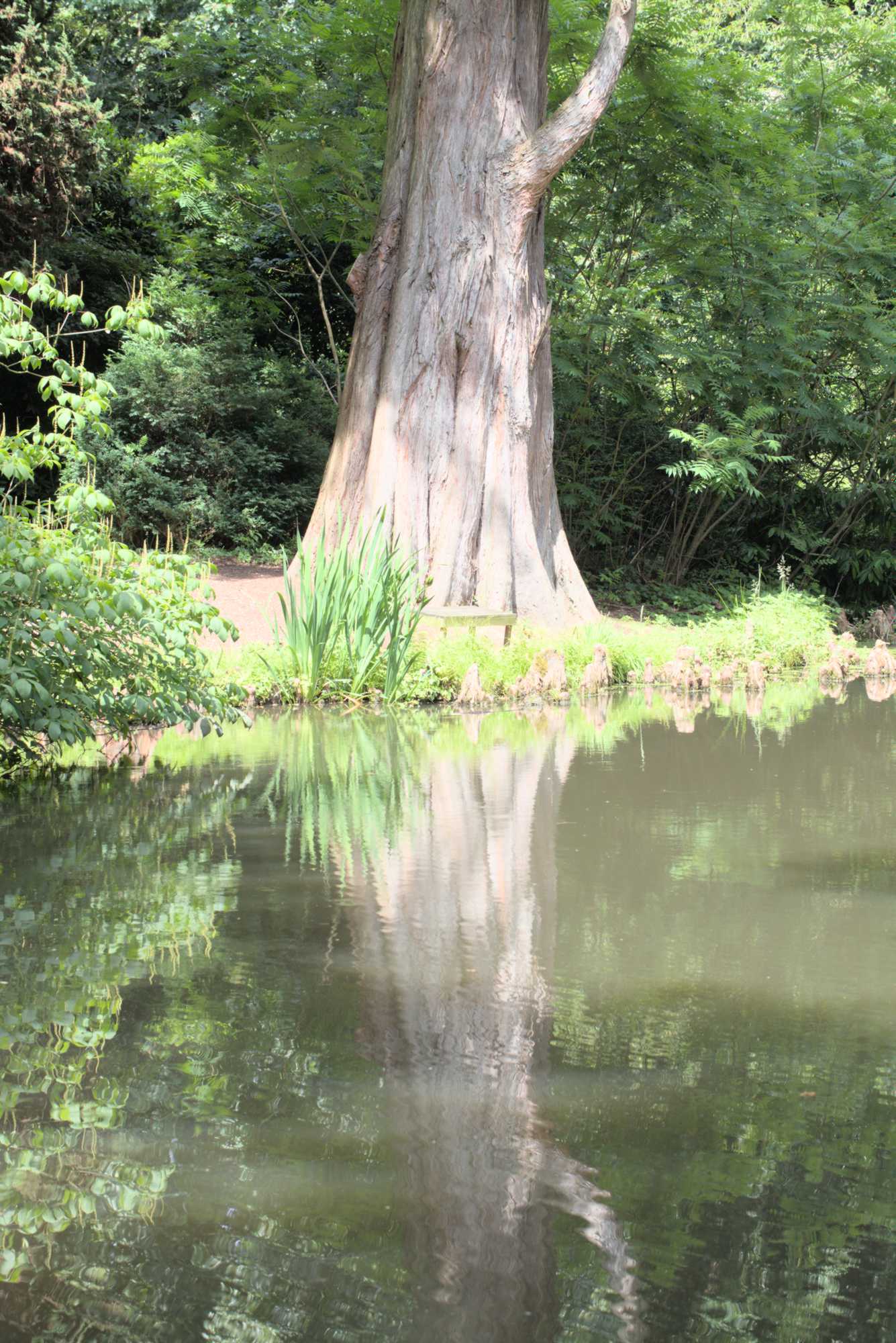 Lokation: Deutschland | Nordrhein-Westfalen | Neuss | Museum Insel Hombroich Kategorien: Museum, Datum: 21.06.2019
