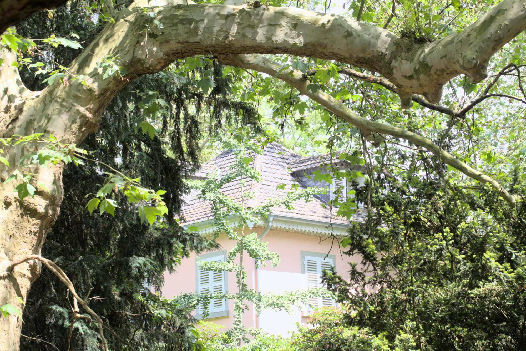 Lokation: Deutschland | Nordrhein-Westfalen | Neuss | Museum Insel Hombroich Kategorien: Museum, Datum: 21.06.2019