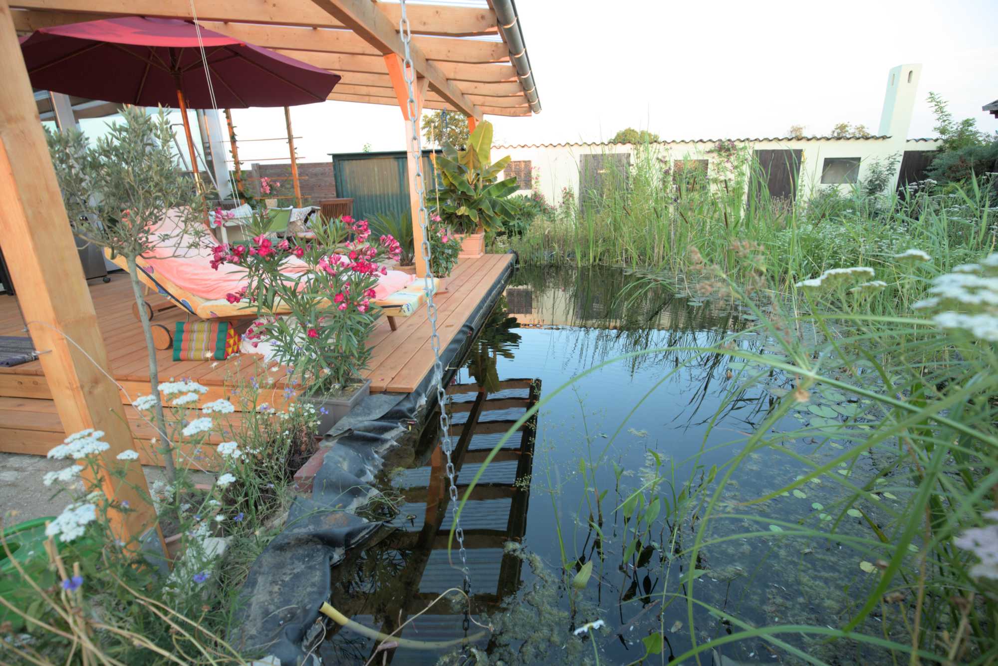 Lokation: Deutschland | Nordrhein-Westfalen | Heinsberg | Wassenberg Kategorien: Haus, Hortus rusticus, Datum: 05.07.2019