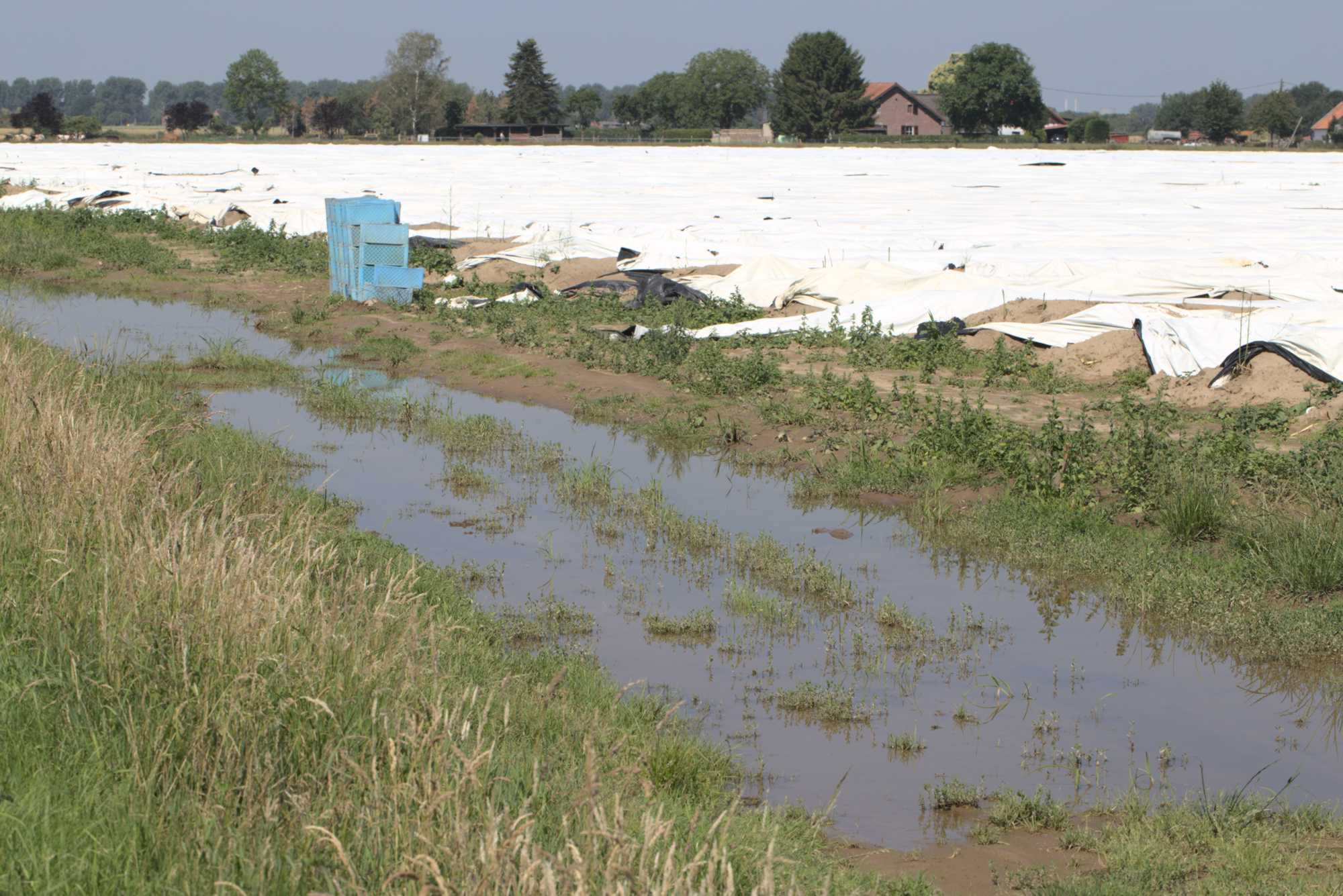 Lokation: Deutschland | Nordrhein-Westfalen | Heinsberg | Wassenberg Kategorien: Beeinträchtigung, Datum: 23.06.2020