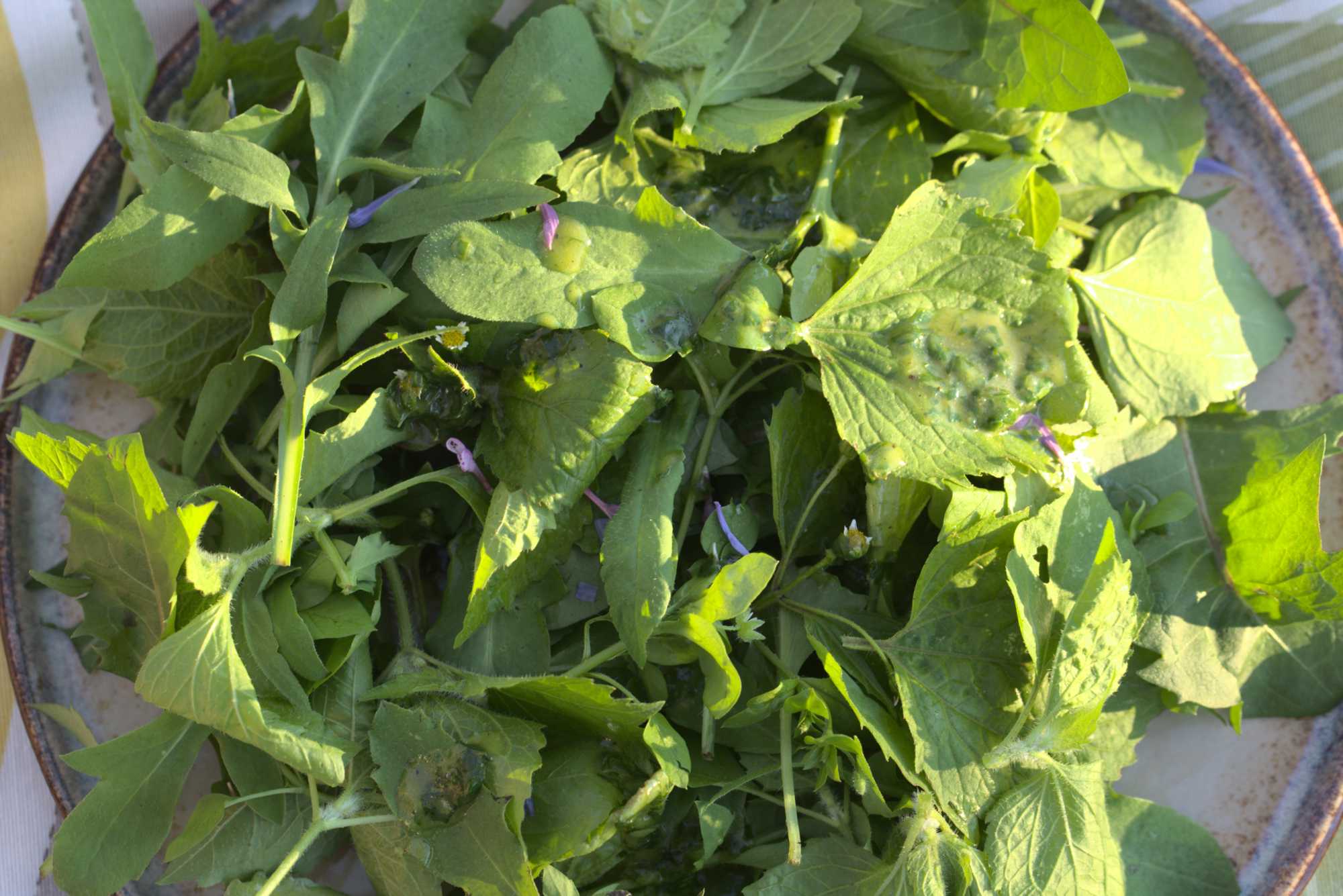 Lokation: Deutschland | Nordrhein-Westfalen | Heinsberg | Wassenberg Kategorien: Essen, Hortus rusticus, Datum: 21.10.2020