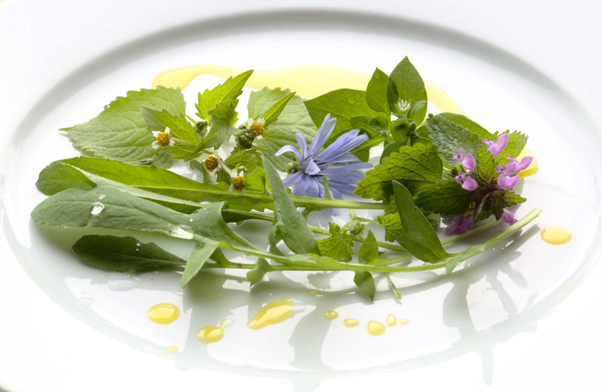 Lokation: Deutschland | Nordrhein-Westfalen | Heinsberg | Wassenberg Kategorien: Essen, Hortus rusticus, Datum: 24.10.2020