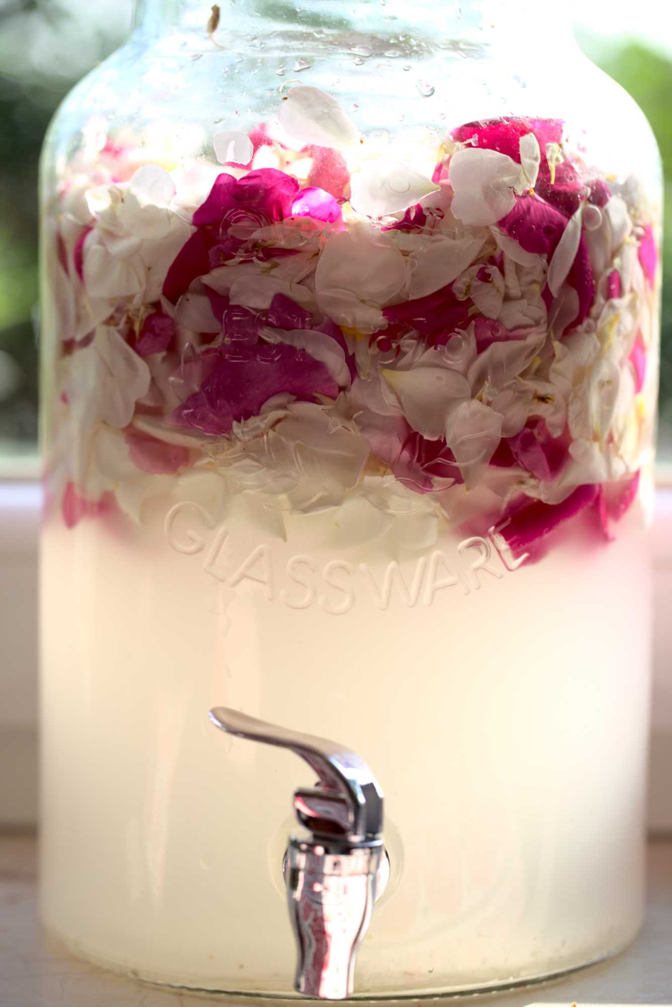 Lokation: Deutschland | Nordrhein-Westfalen | Heinsberg | Wassenberg Kategorien: Essen, Hortus rusticus, Datum: 11.06.2021