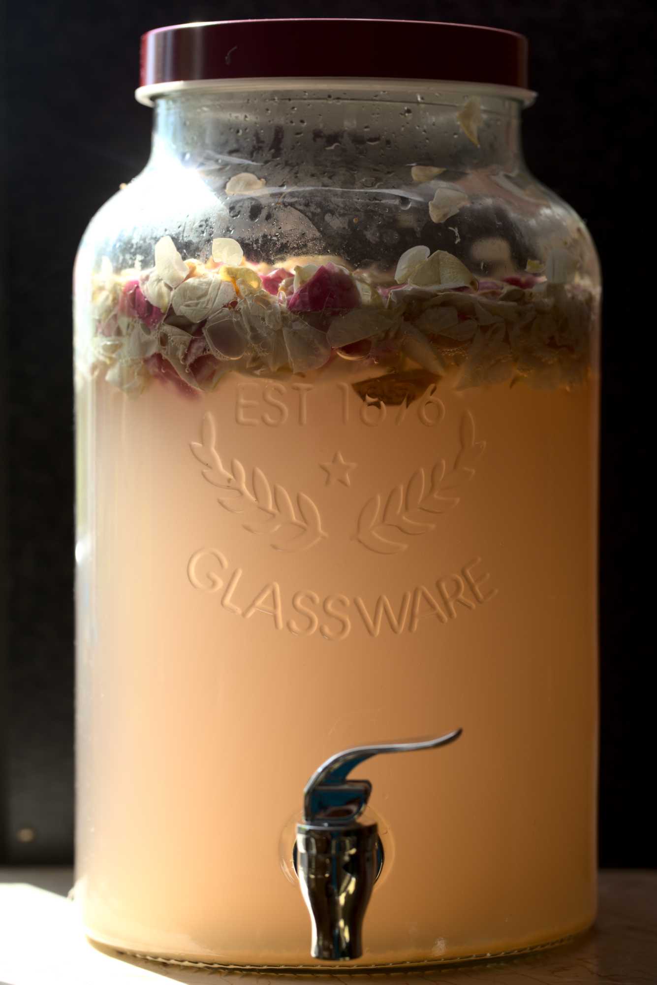 Lokation: Deutschland | Nordrhein-Westfalen | Heinsberg | Wassenberg Kategorien: Essen, Hortus rusticus, Datum: 14.06.2021