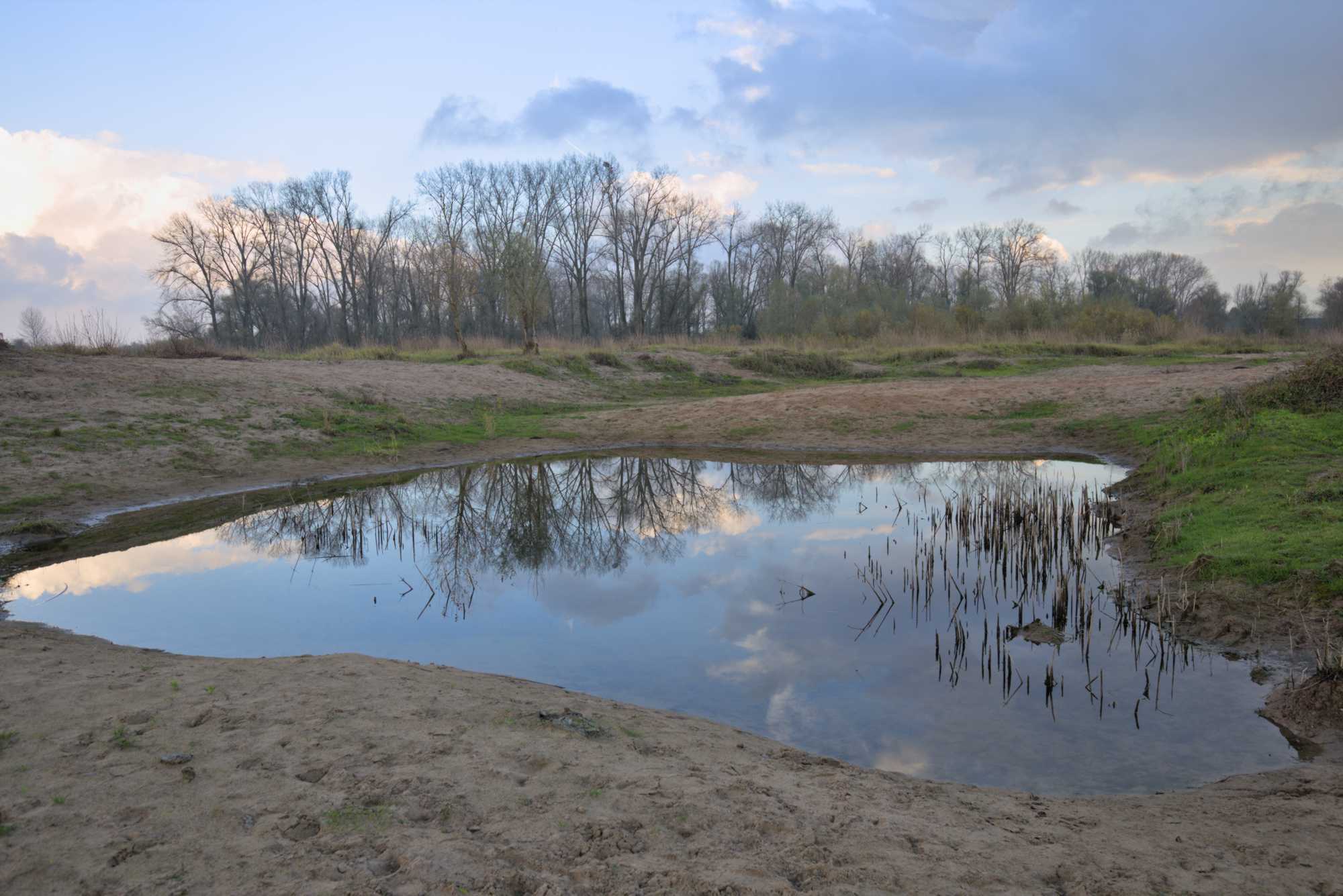 Lokation: Niederlande | Gelderland | Berg en Dal | Kekerdom Kategorien: Aue, Datum: 17.11.2021