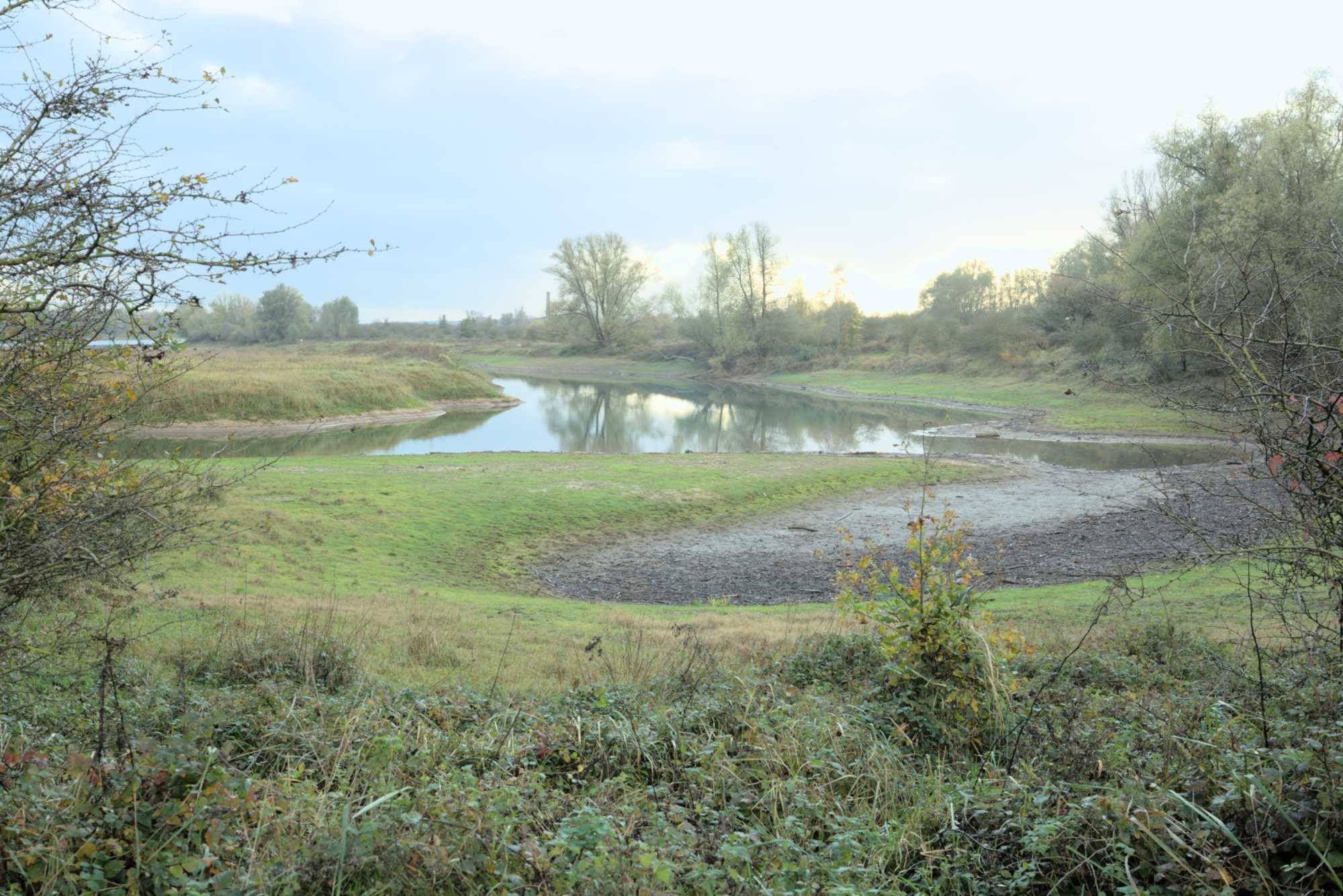 Lokation: Niederlande | Gelderland | Berg en Dal | Millingen aan de Rijn Kategorien: Aue, Datum: 17.11.2021