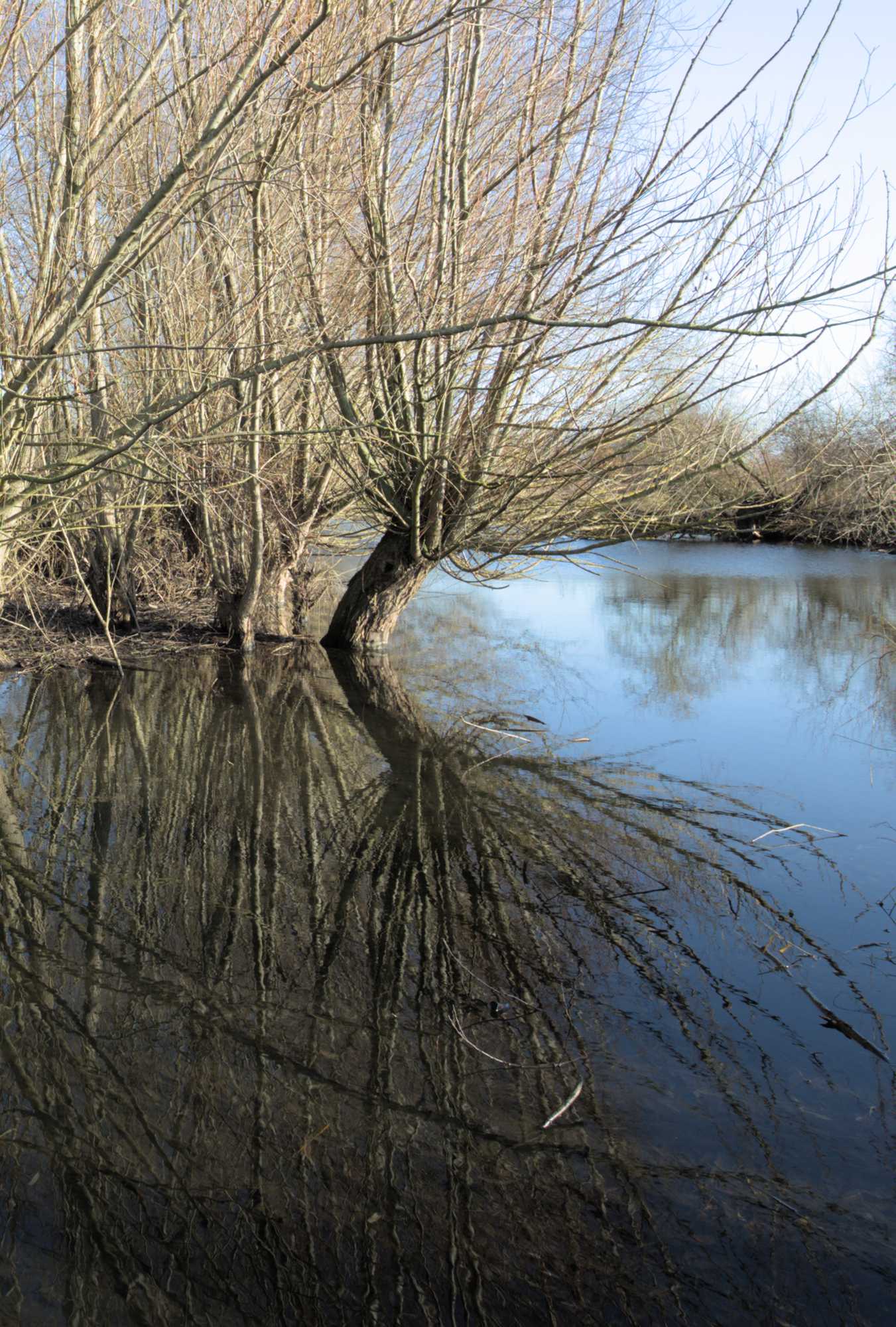 Lokation: Deutschland | Nordrhein-Westfalen | Heinsberg | Wassenberg Kategorien: Altarm, Datum: 27.11.2021