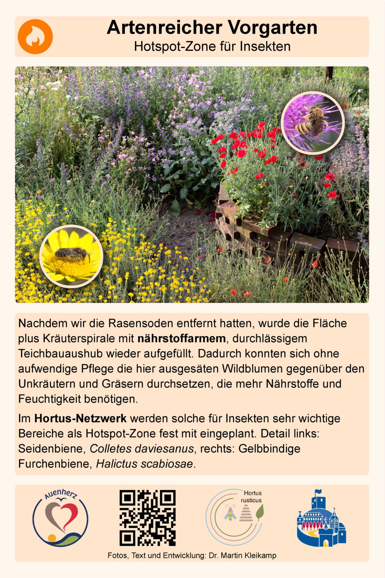 Lokation: Deutschland | Nordrhein-Westfalen | Heinsberg | Wassenberg Kategorien: Tafel, Hortus rusticus, Datum: 04.05.2021
