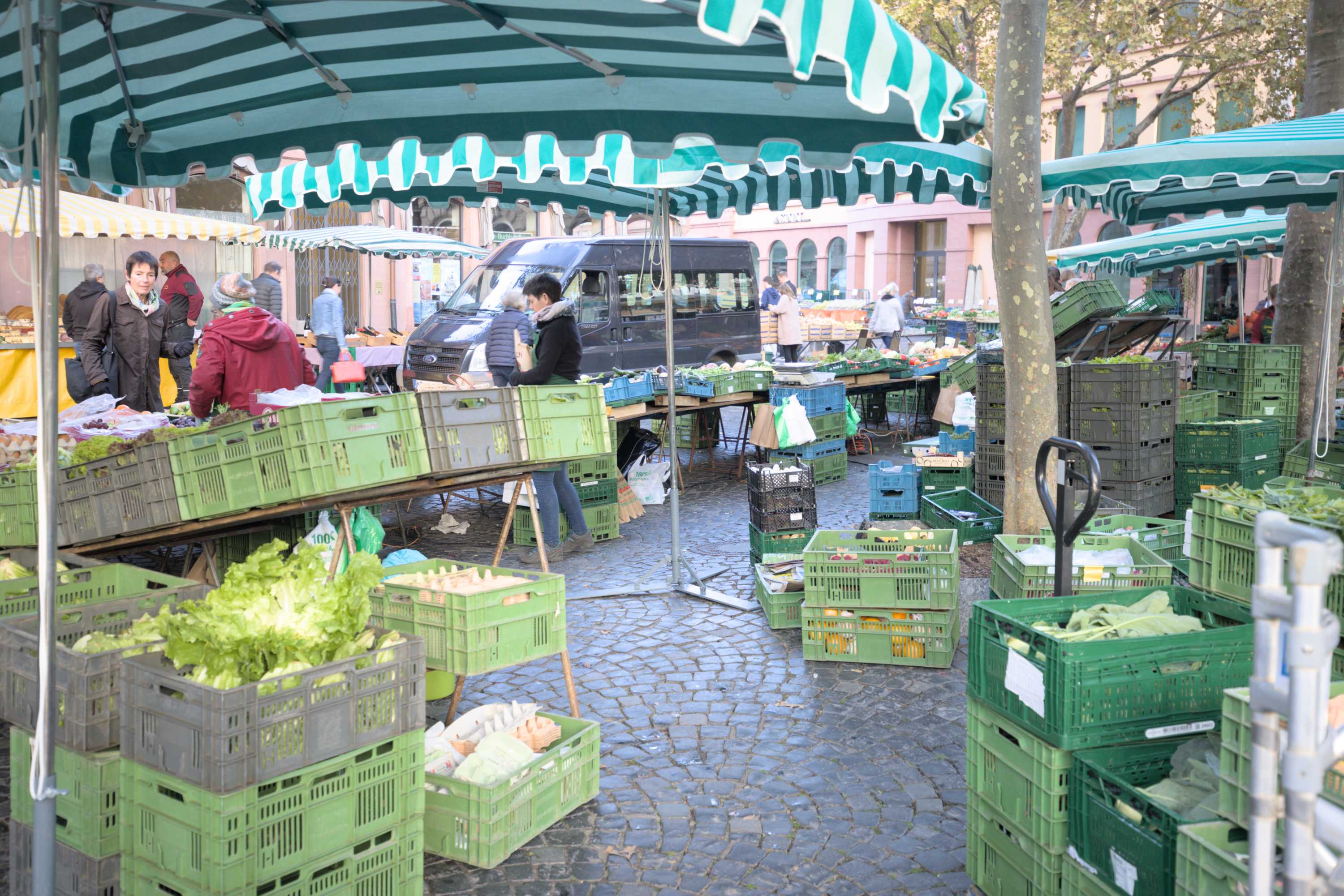 Lokation: Deutschland | Rheinland-Pfalz | Mainz | Altstadt Kategorien: Markt, Datum: 08.10.2022
