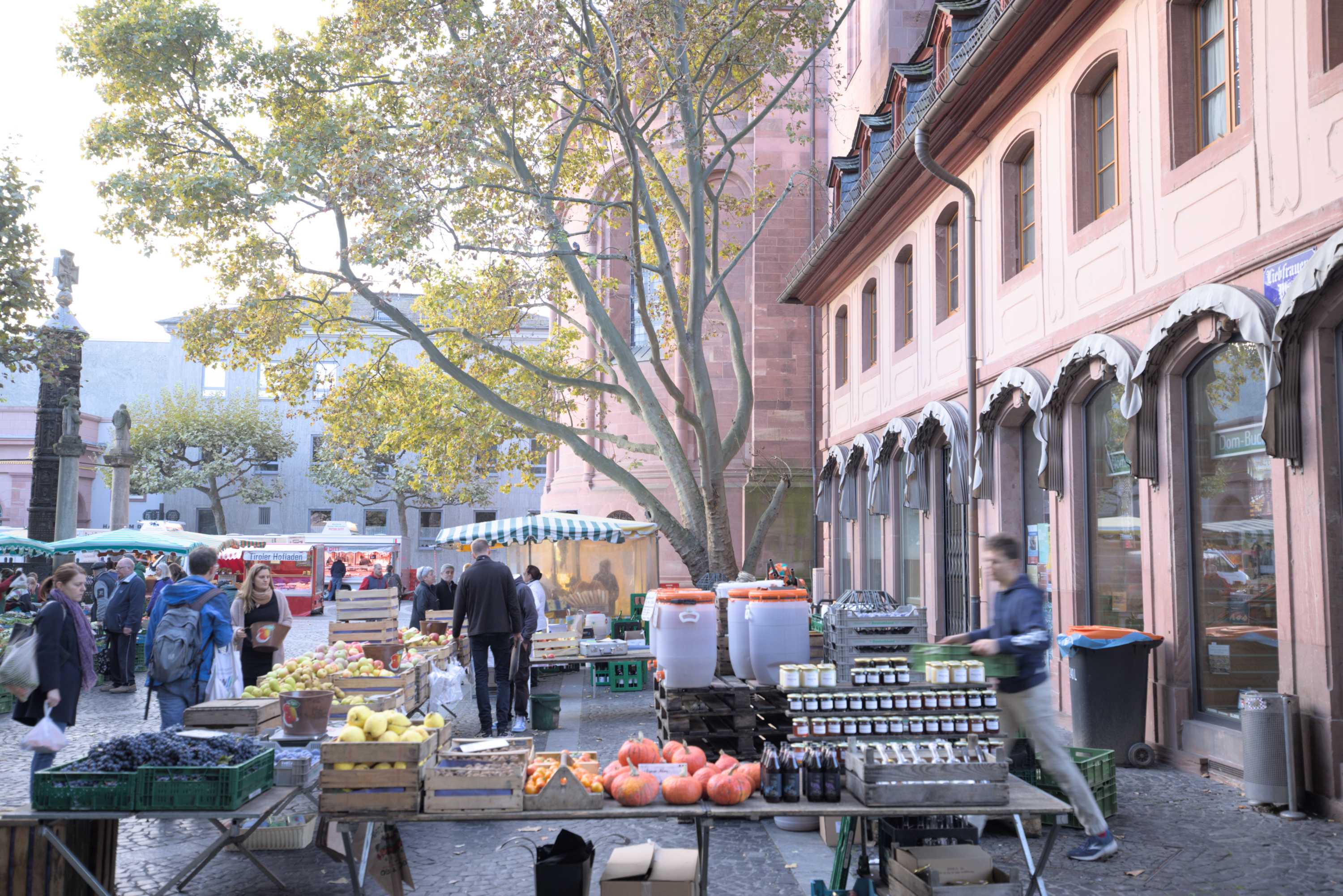 Lokation: Deutschland | Rheinland-Pfalz | Mainz | Altstadt Kategorien: Markt, Datum: 08.10.2022