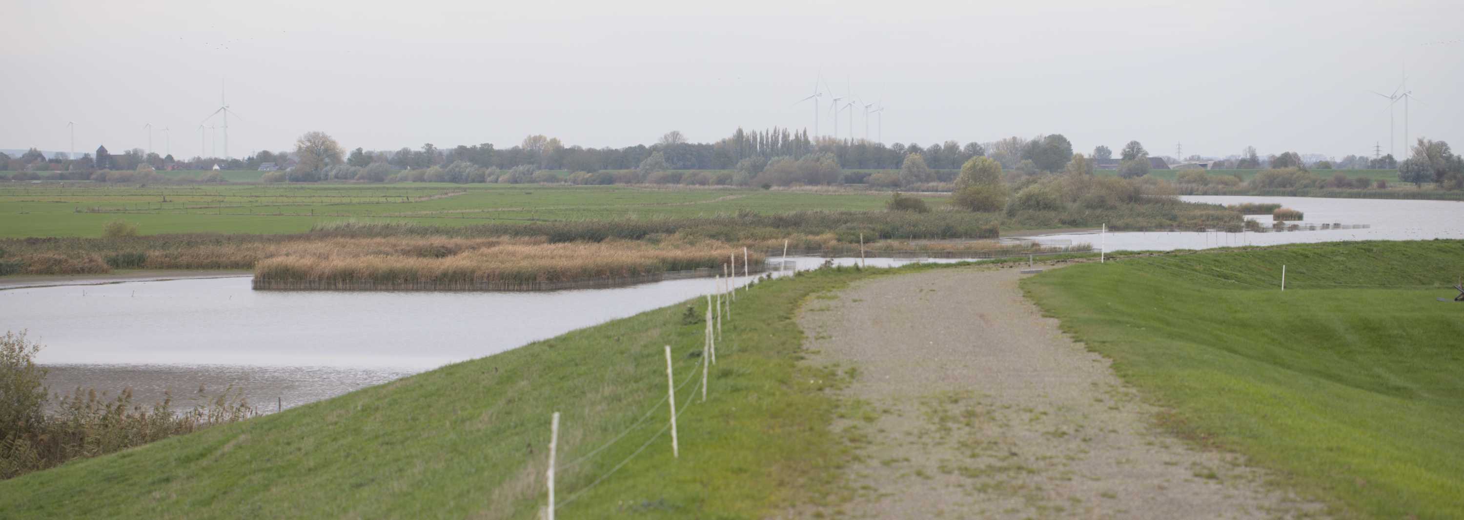 Lokation: Deutschland | Nordrhein-Westfalen | Kleve | Rees Kategorien: Altarm, Datum: 05.11.2022