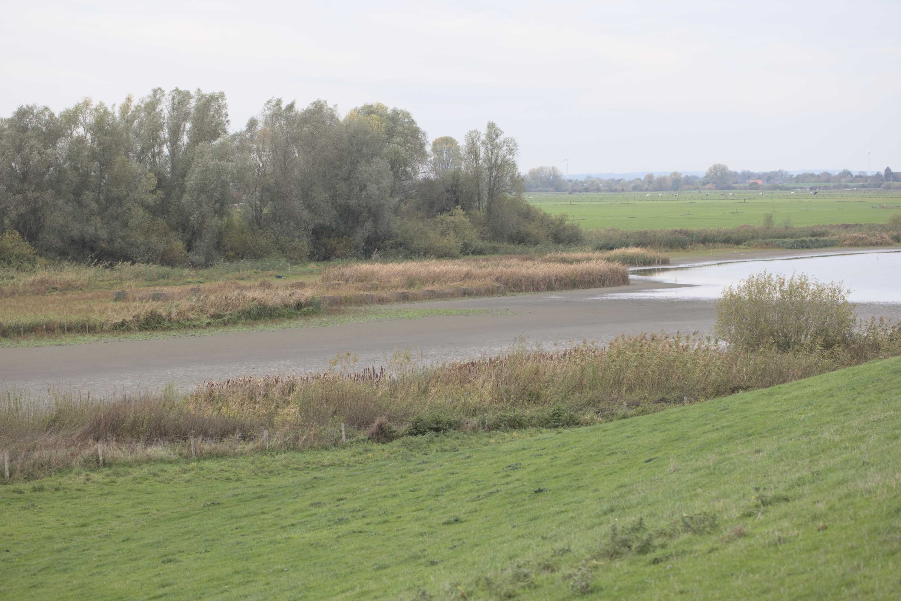 Lokation: Deutschland | Nordrhein-Westfalen | Kleve | Rees Kategorien: Altarm, Datum: 05.11.2022