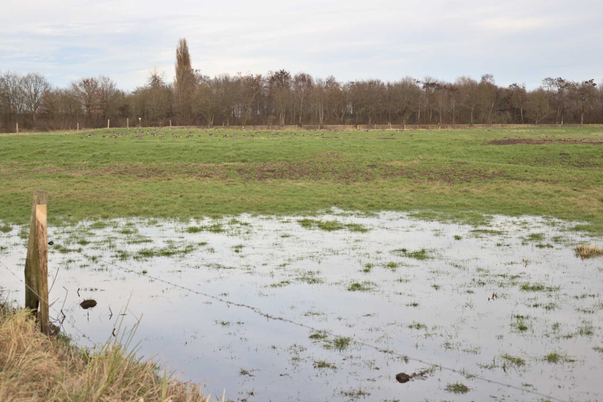 Lokation: Deutschland | Nordrhein-Westfalen | Heinsberg | Wassenberg Kategorien: Aue, Datum: 01.01.2022