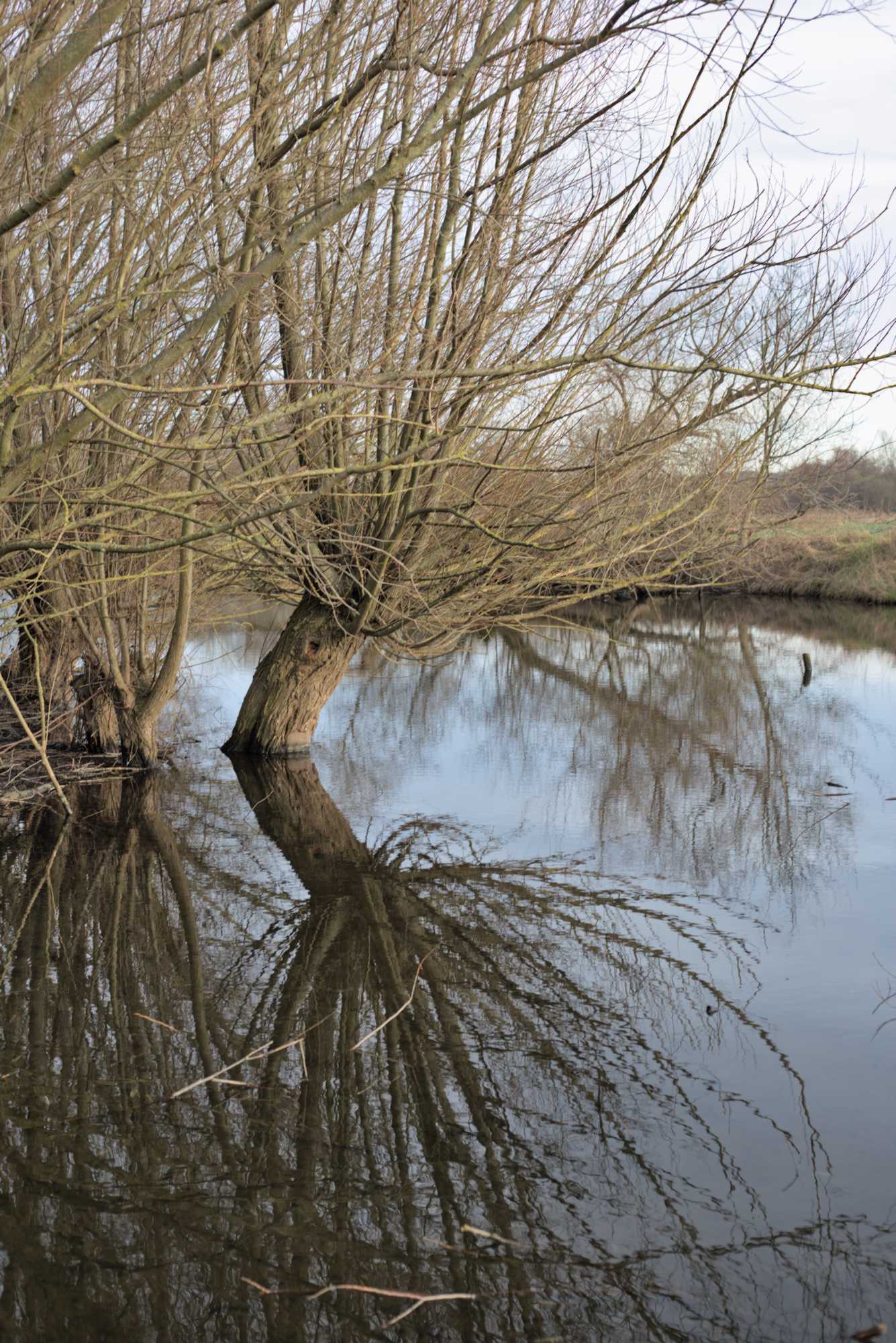 Lokation: Deutschland | Nordrhein-Westfalen | Heinsberg | Wassenberg Kategorien: Aue, Datum: 01.01.2022