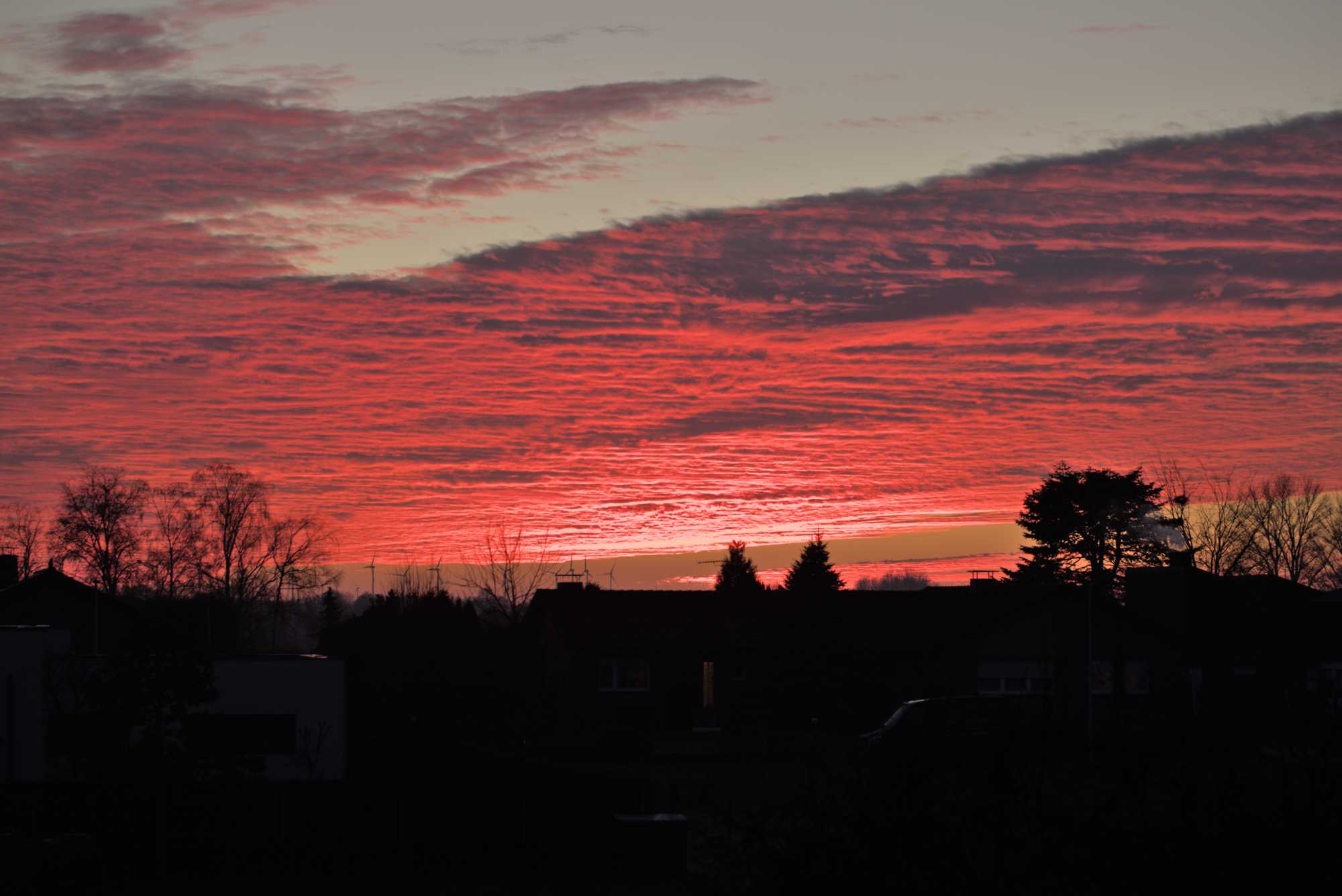 Lokation: Deutschland | Nordrhein-Westfalen | Heinsberg | Wassenberg Kategorien: Sonnenauf-,untergang, Hortus rusticus, Datum: 11.01.2022