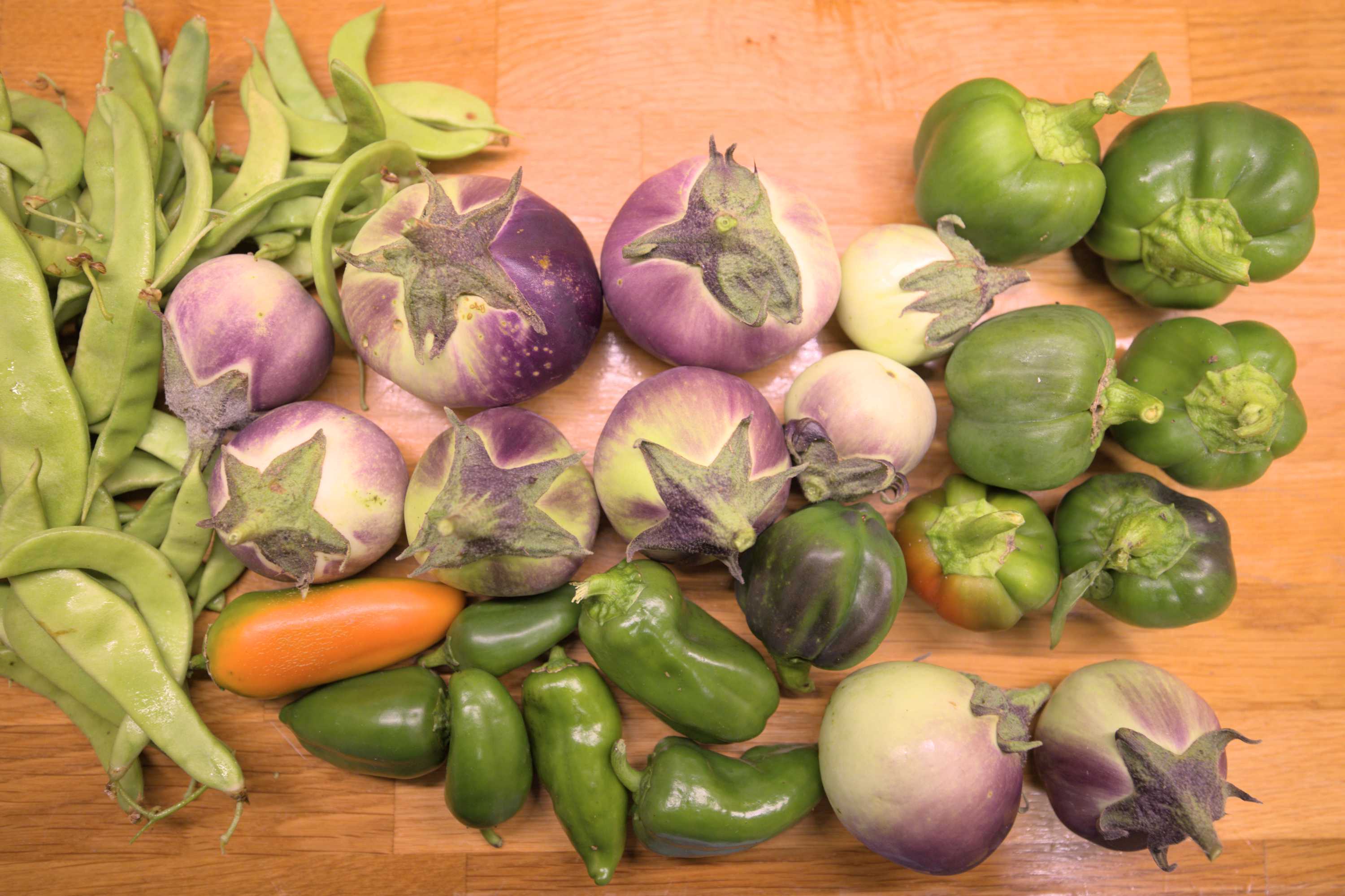 Dezemberernte aus unserem Hortus rusticus., Lokation: Deutschland | Nordrhein-Westfalen | Heinsberg | Wassenberg Kategorien: Nutzgarten, Hortus rusticus, Ernte, Selbstversorgung, Datum: 02.12.2022