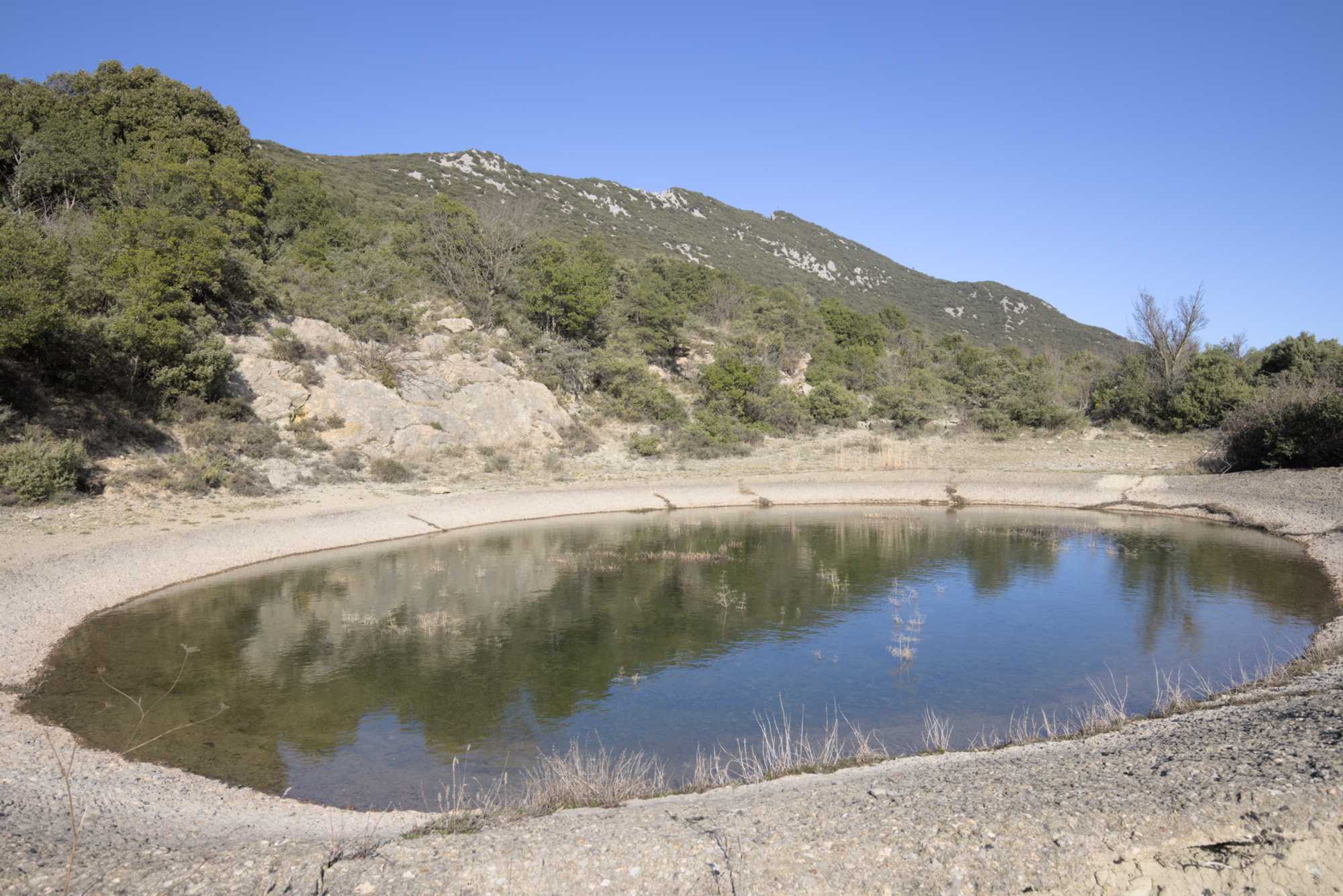 Lokation: Frankreich | Hérault | Lodève | Cazevieille Kategorien: Teich, Datum: 25.02.2022