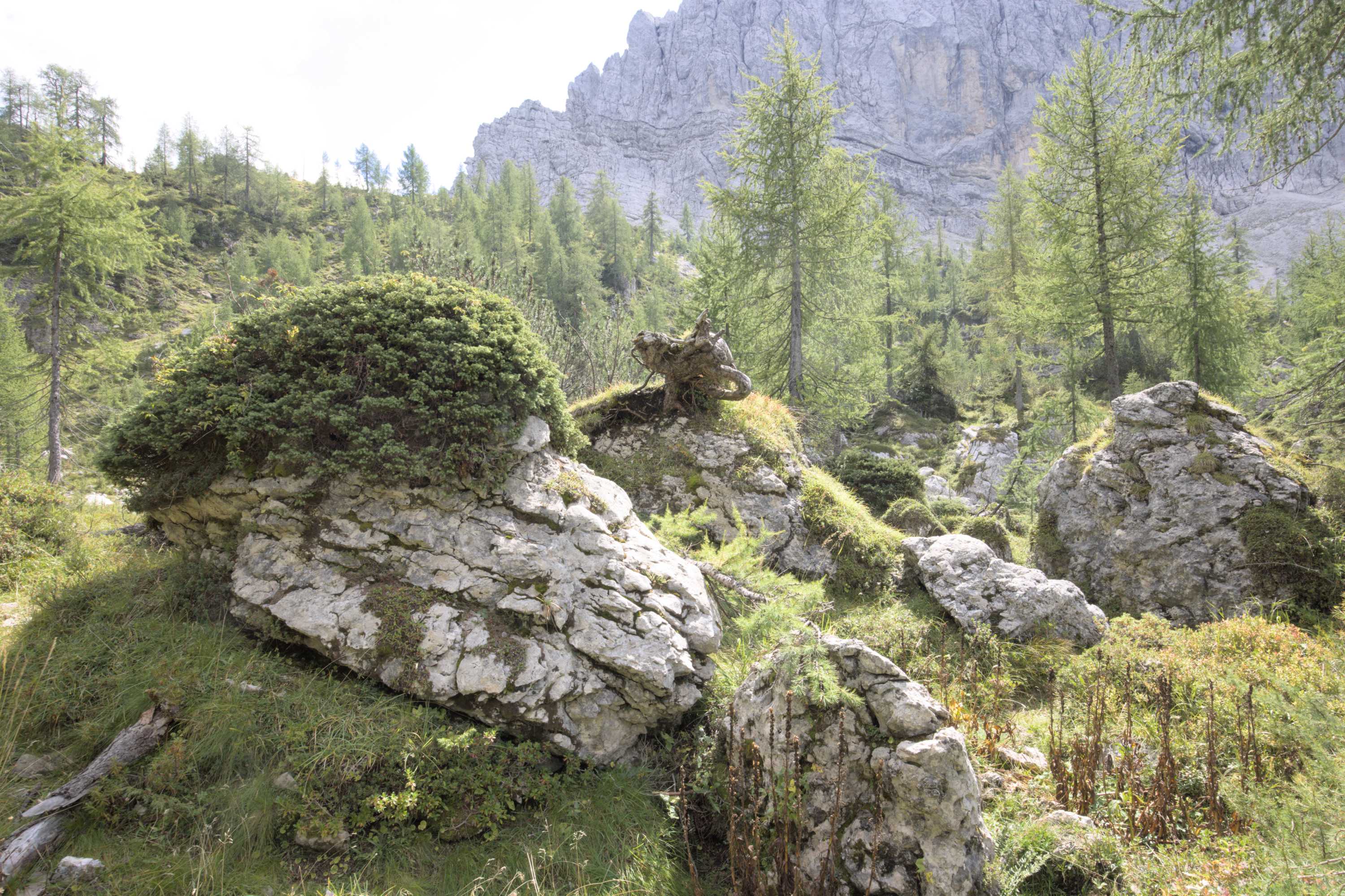 Lokation: Slowenien | Westslowenien | Oberkrain | Kranjska Gora Kategorien: Berge, Datum: 04.09.2022