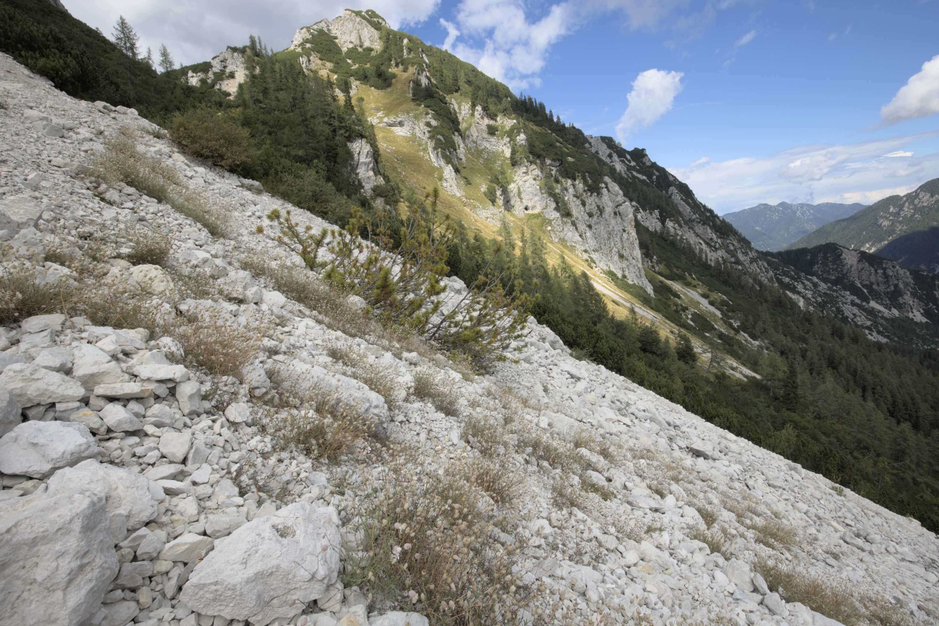 Lokation: Slowenien | Westslowenien | Oberkrain | Kranjska Gora Kategorien: Berge, Datum: 04.09.2022