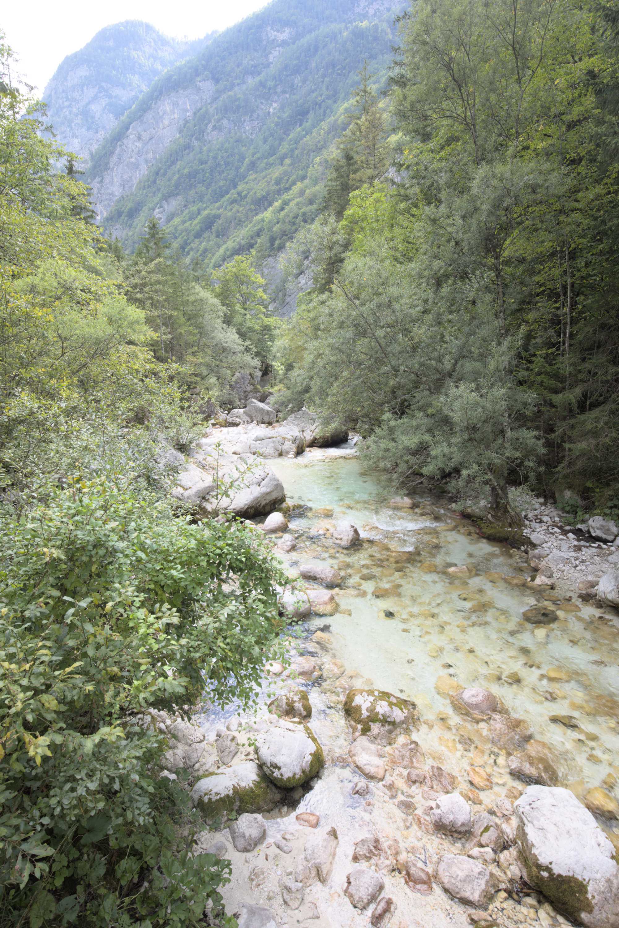 Lokation: Slowenien | Westslowenien | Gorica-Gebiet | Bovec Kategorien: Bach, Datum: 04.09.2022