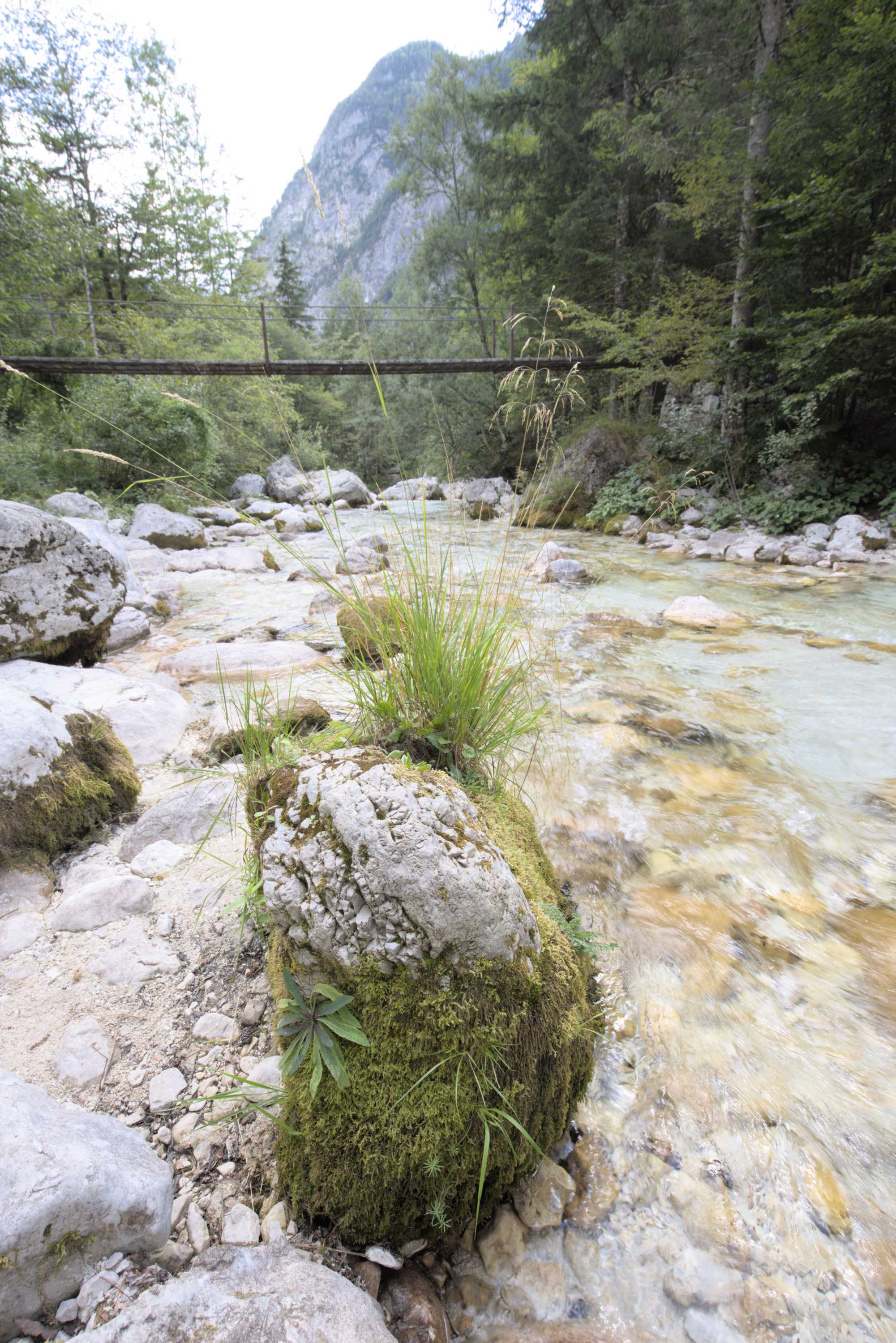 Lokation: Slowenien | Westslowenien | Gorica-Gebiet | Bovec Kategorien: Bach, Datum: 04.09.2022