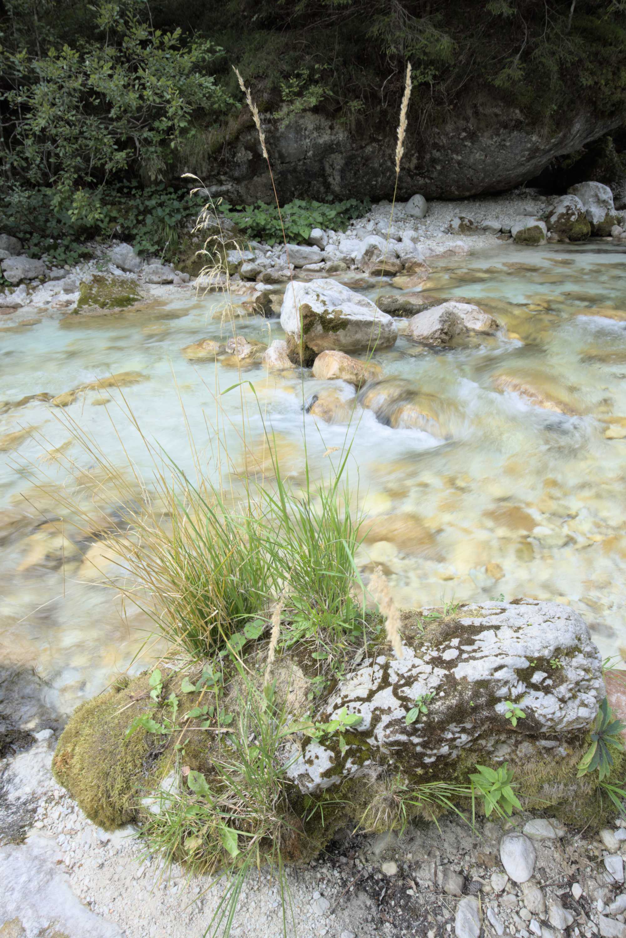 Lokation: Slowenien | Westslowenien | Gorica-Gebiet | Bovec Kategorien: Bach, Datum: 04.09.2022
