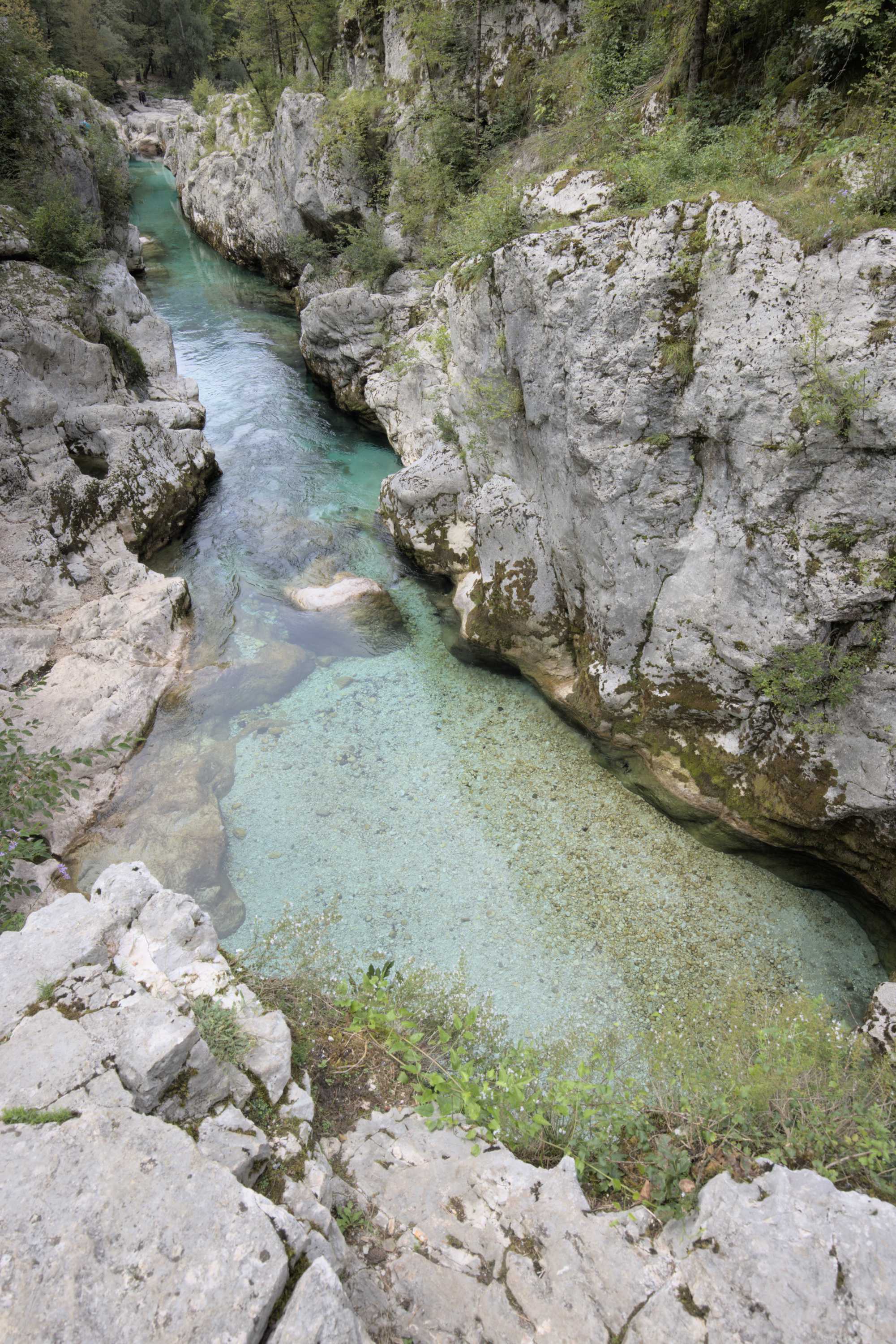 Lokation: Slowenien | Westslowenien | Gorica-Gebiet | Bovec Kategorien: Bach, Datum: 05.09.2022