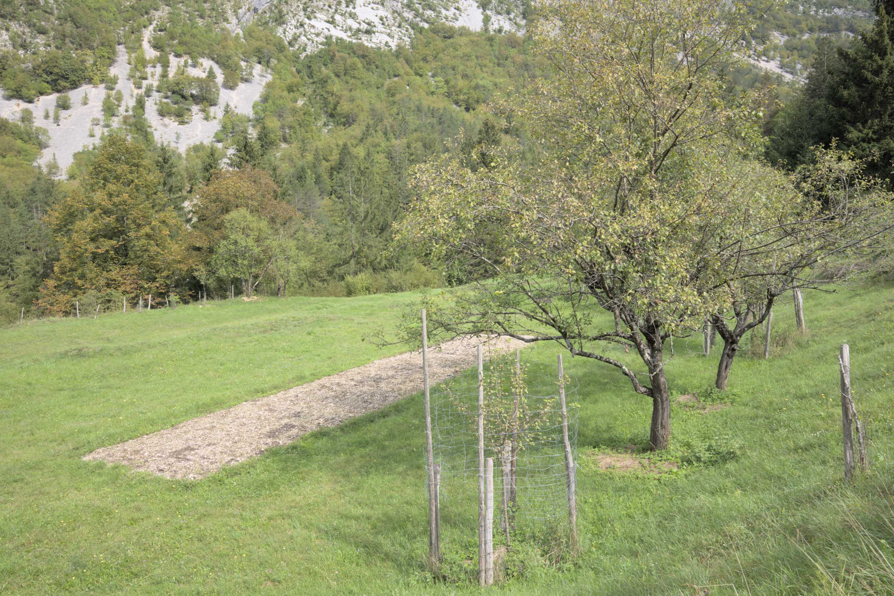 Lokation: Slowenien | Westslowenien | Gorica-Gebiet | Bovec Kategorien: Permakultur, Datum: 05.09.2022