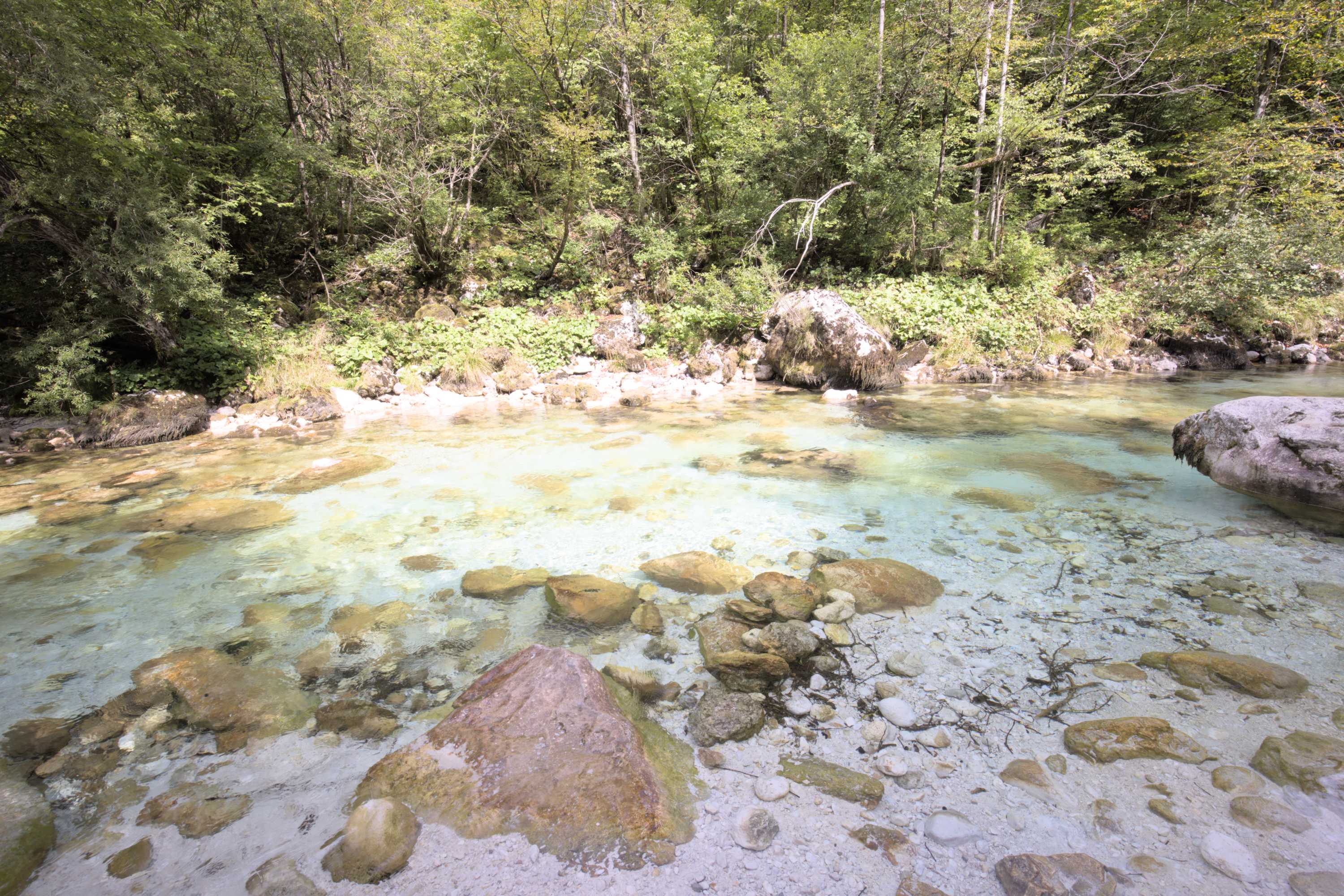 Lokation: Slowenien | Westslowenien | Gorica-Gebiet | Bovec Kategorien: Bach, Datum: 05.09.2022