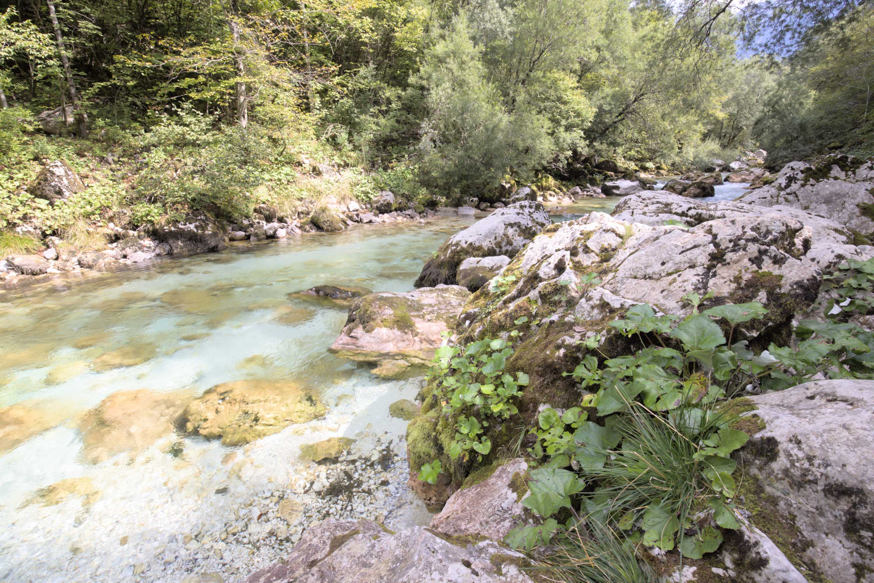 Lokation: Slowenien | Westslowenien | Gorica-Gebiet | Bovec Kategorien: Bach, Datum: 05.09.2022