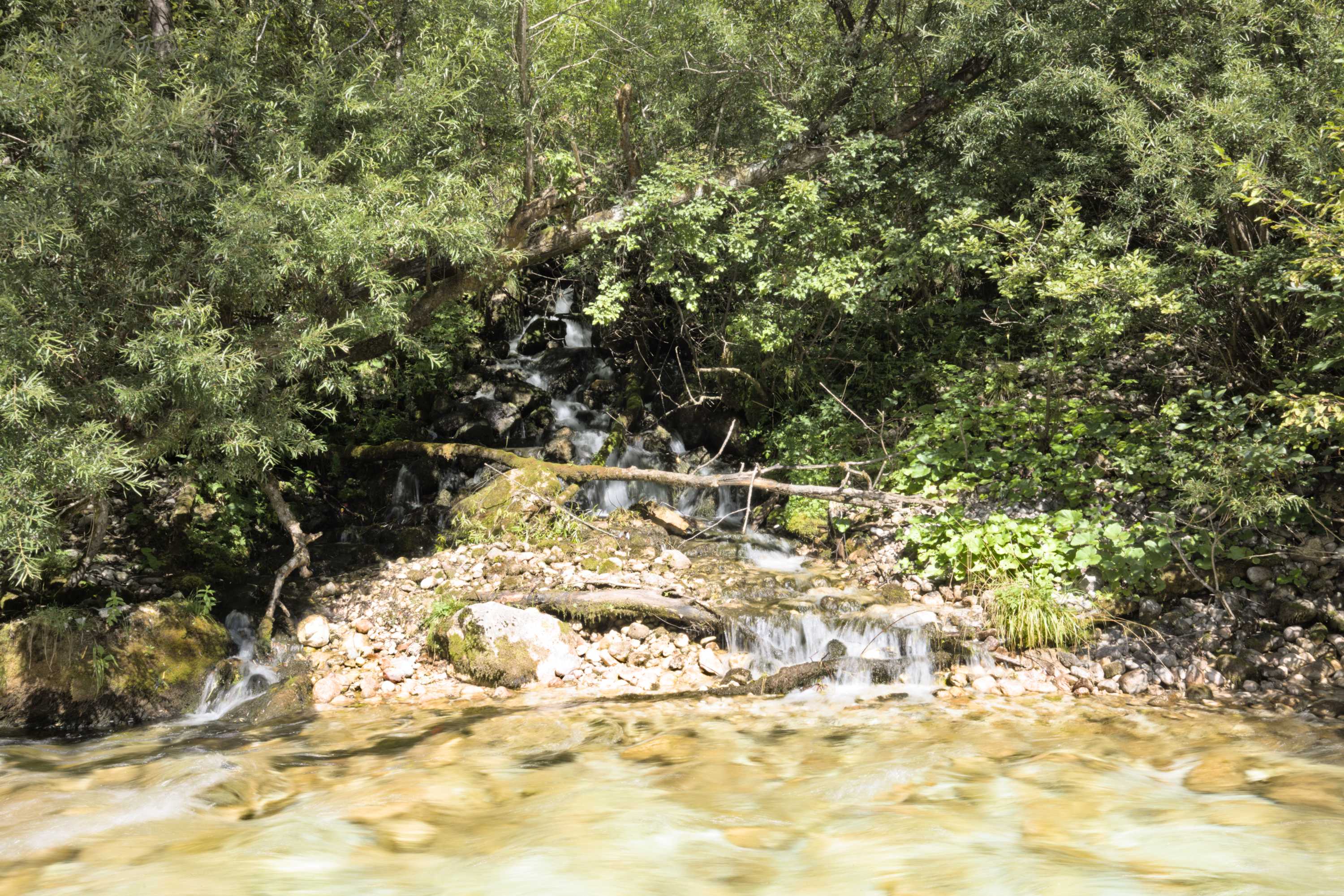 Lokation: Slowenien | Westslowenien | Gorica-Gebiet | Bovec Kategorien: Bach, Datum: 05.09.2022