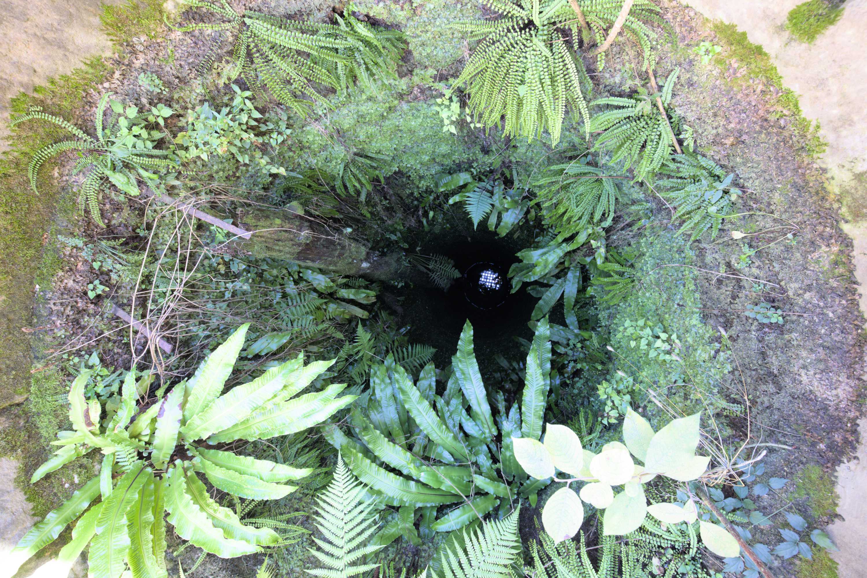 Lokation: Slowenien | Ostslowenien | Drau-Gegend | Ptuj Kategorien: Brunnen, Datum: 10.09.2022