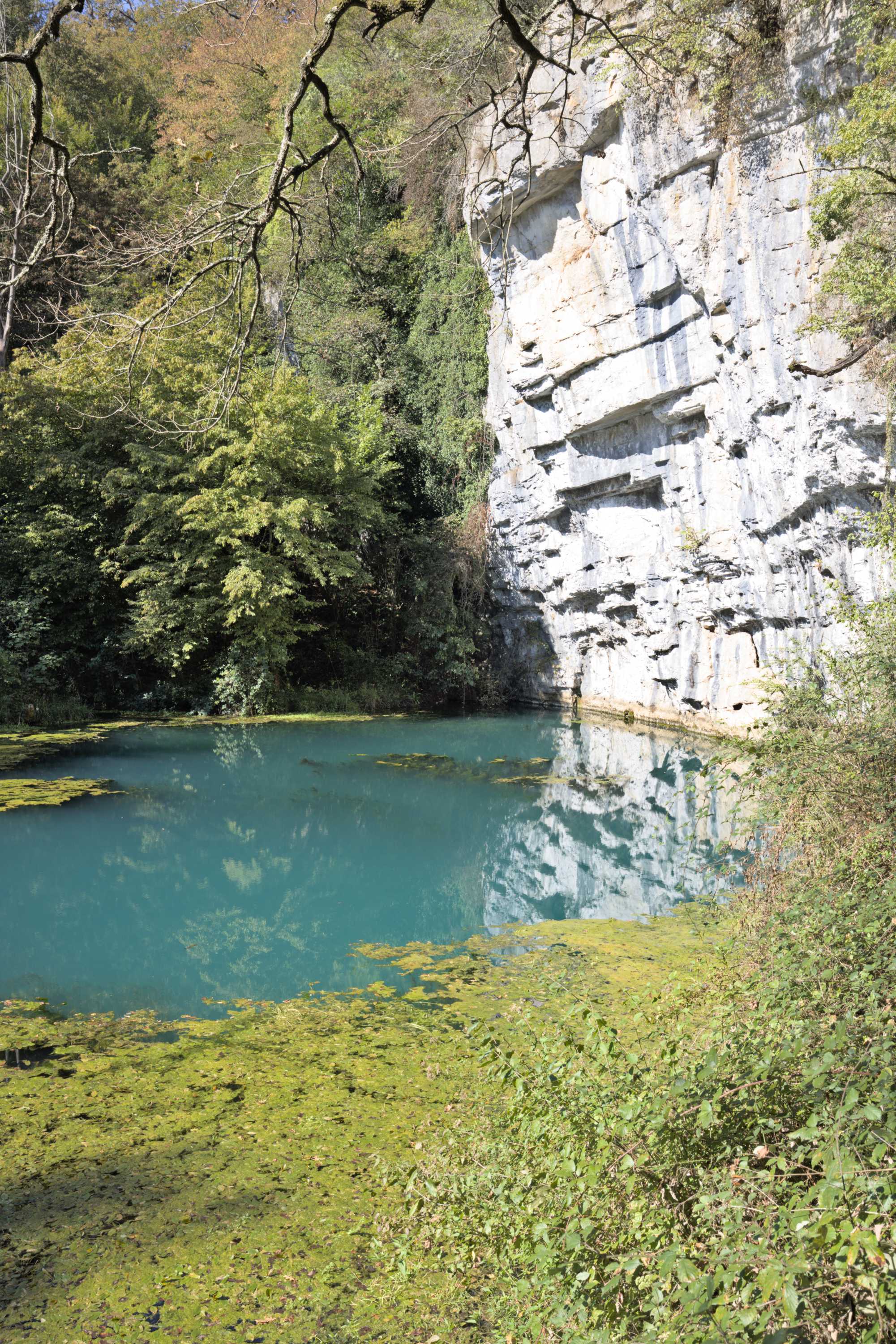 Lokation: Slowenien | Ostslowenien | Südostslowenien | Semi? Kategorien: Quelle, Datum: 13.09.2022