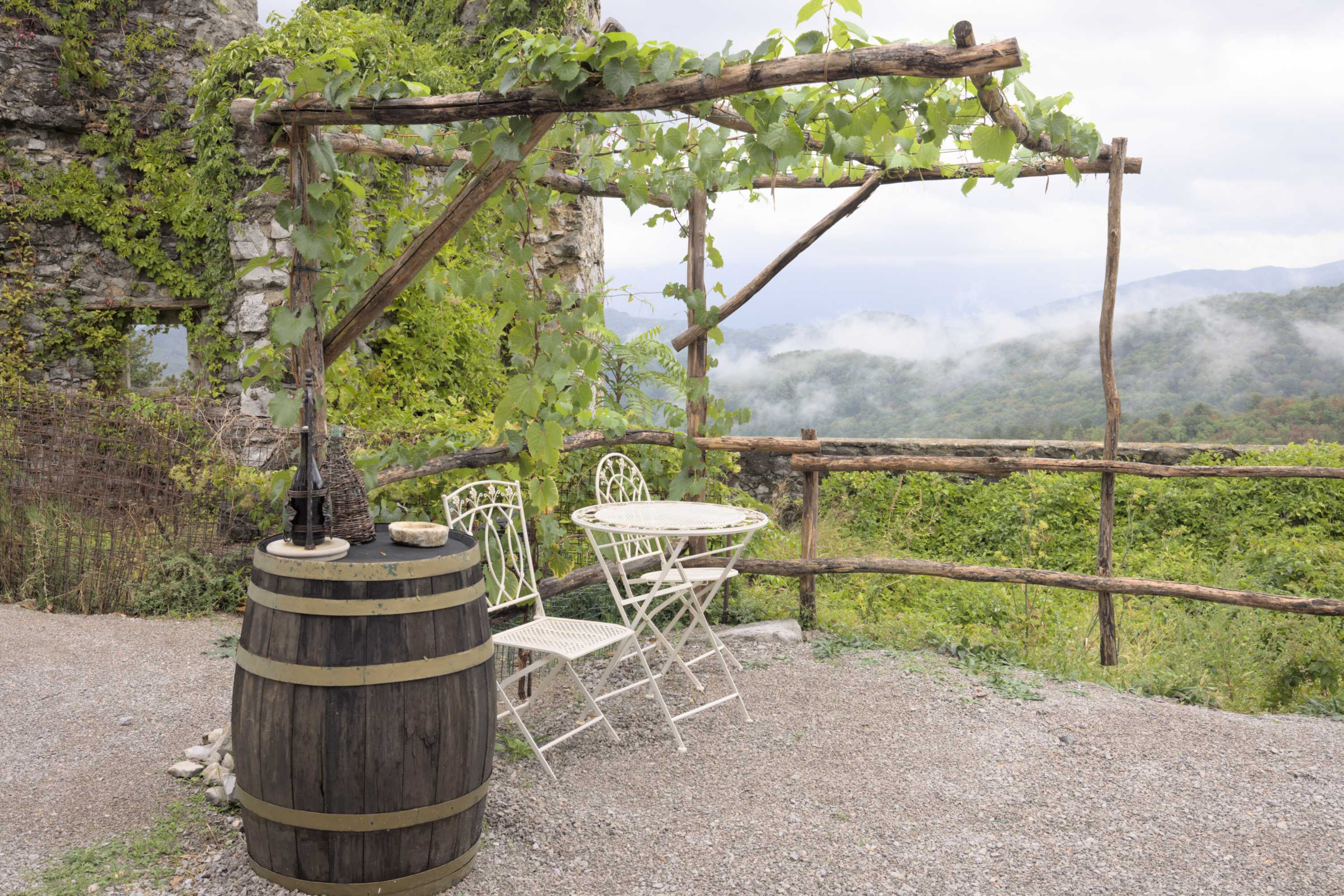 Lokation: Slowenien | Westslowenien | Küsten- und Karstgebiet | Komen Kategorien: Kletterpflanzen, Datum: 15.09.2022