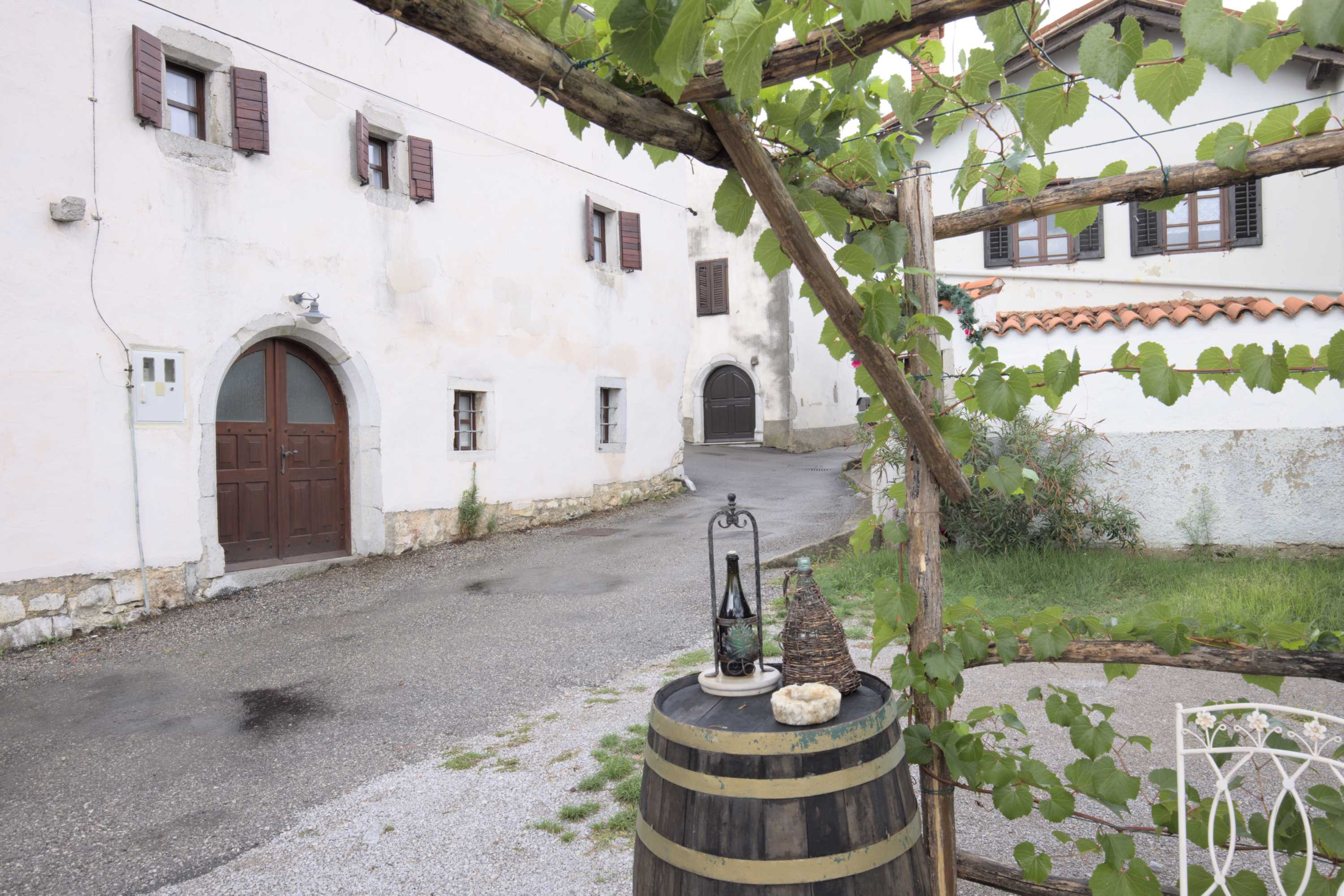 Lokation: Slowenien | Westslowenien | Küsten- und Karstgebiet | Komen Kategorien: Kletterpflanzen, Datum: 15.09.2022