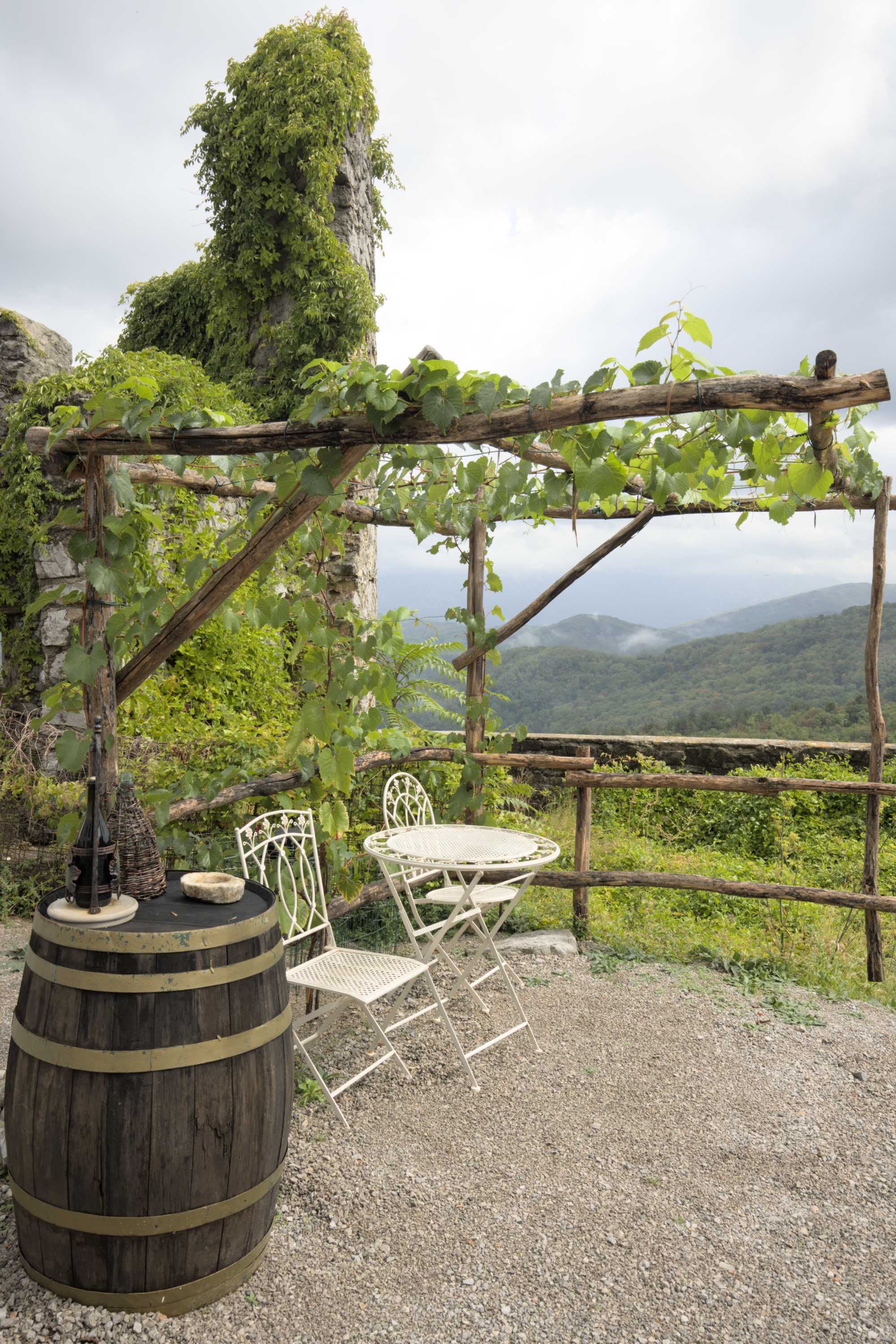 Lokation: Slowenien | Westslowenien | Küsten- und Karstgebiet | Komen Kategorien: Kletterpflanzen, Datum: 15.09.2022