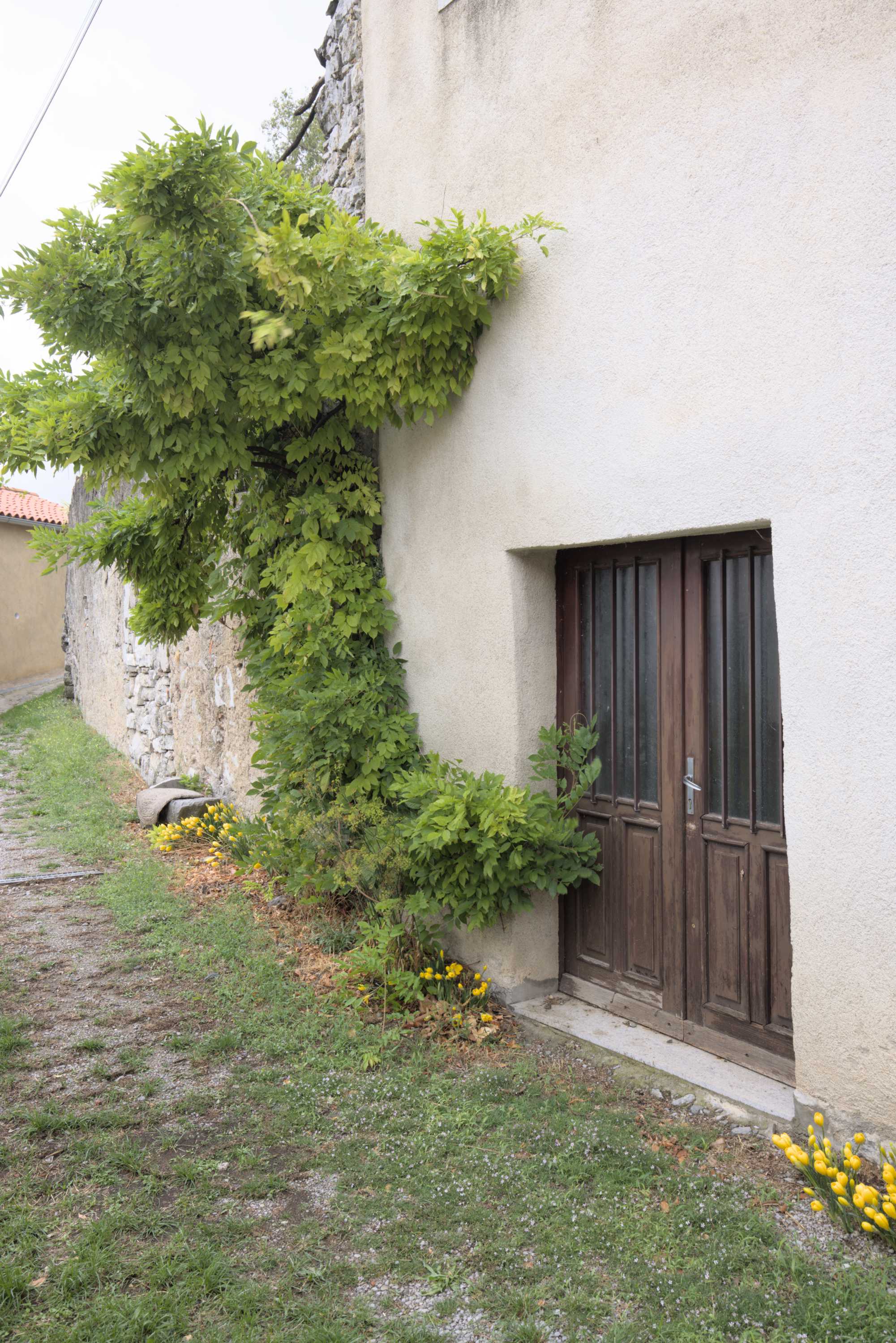 Lokation: Slowenien | Westslowenien | Küsten- und Karstgebiet | Komen Kategorien: Türen, Kletterpflanzen, Datum: 15.09.2022