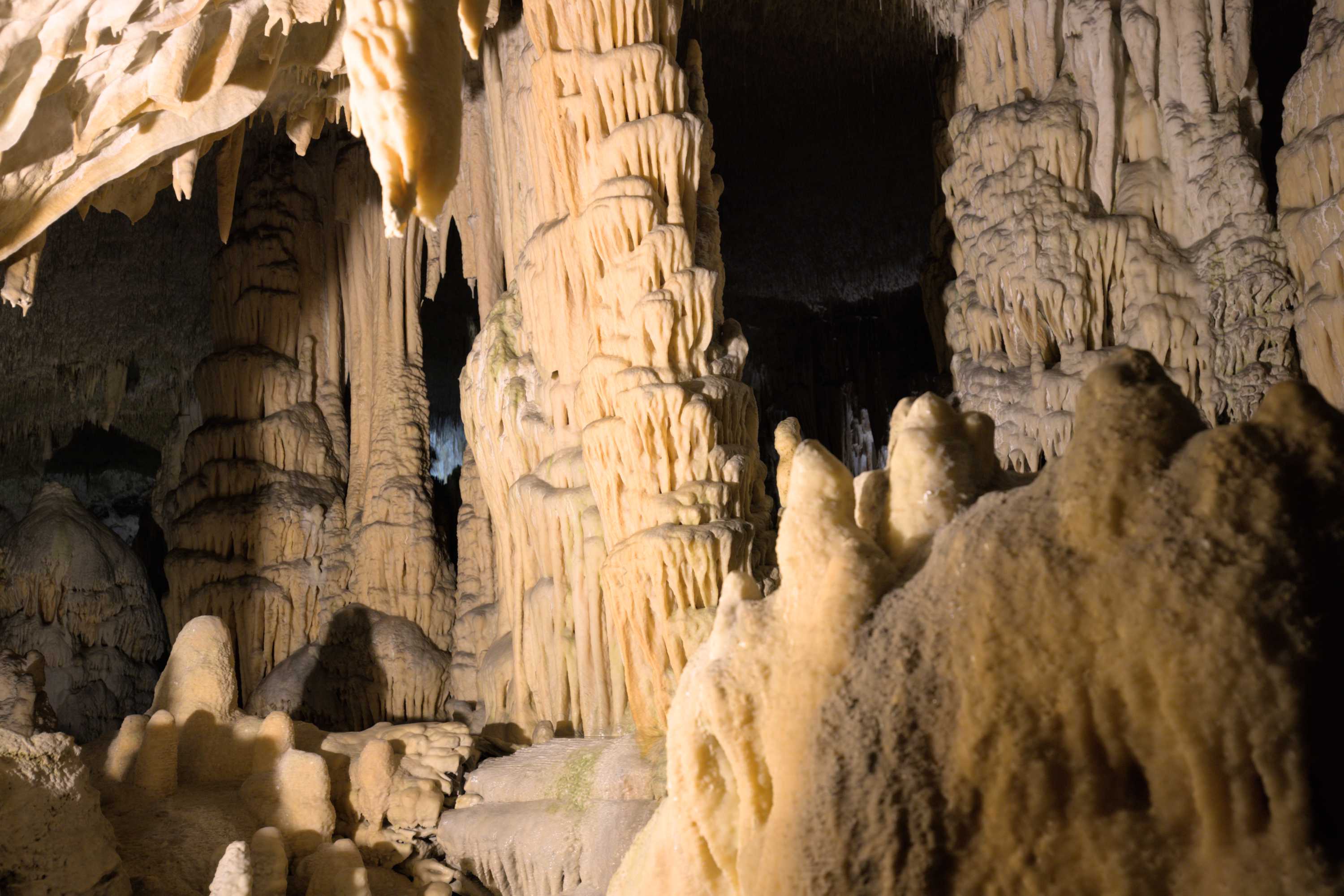 Lokation: Slowenien | Ostslowenien | Küstenland-Innerkrain | Postojna Kategorien: Höhle, Datum: 16.09.2022