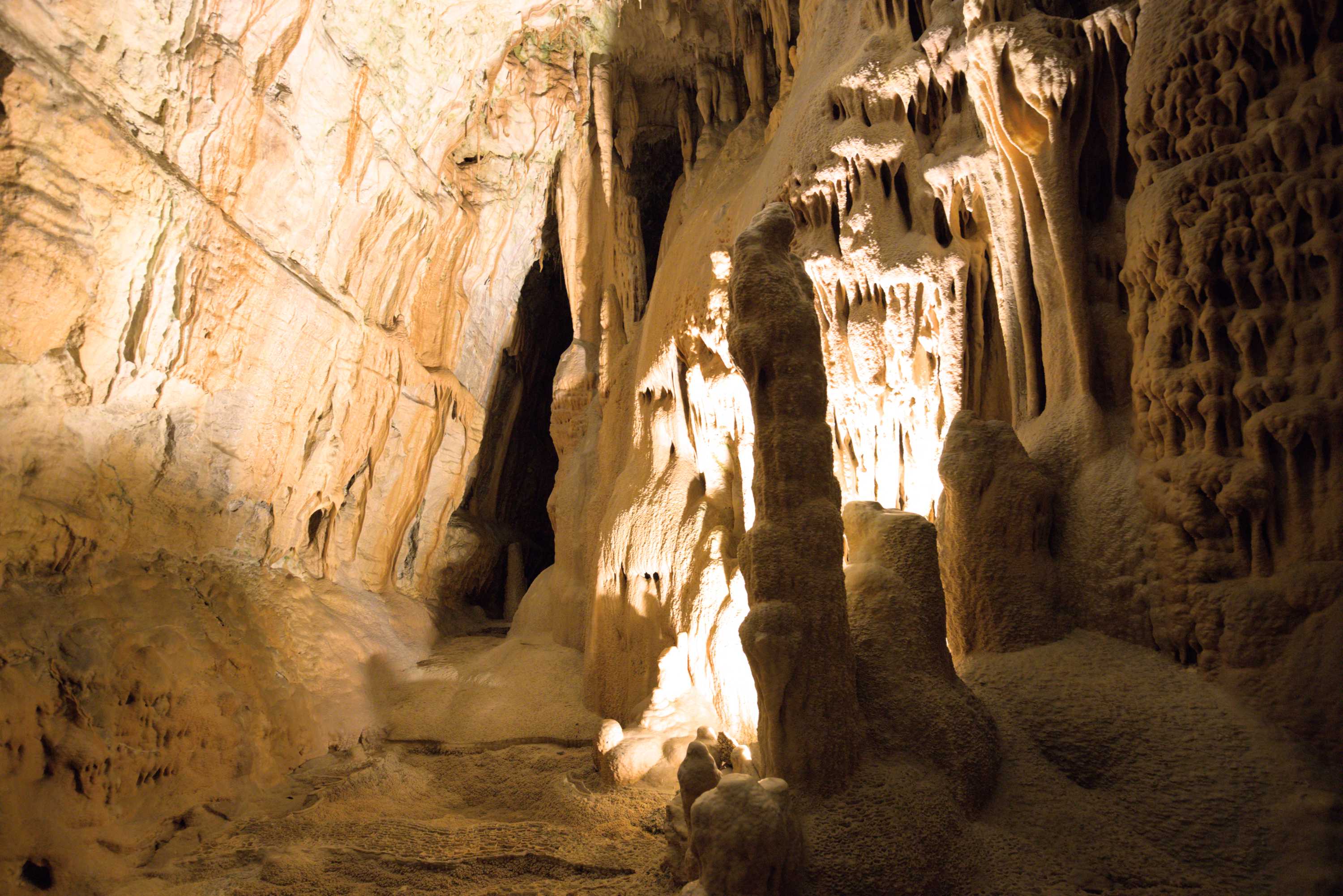 Lokation: Slowenien | Ostslowenien | Küstenland-Innerkrain | Postojna Kategorien: Höhle, Datum: 16.09.2022