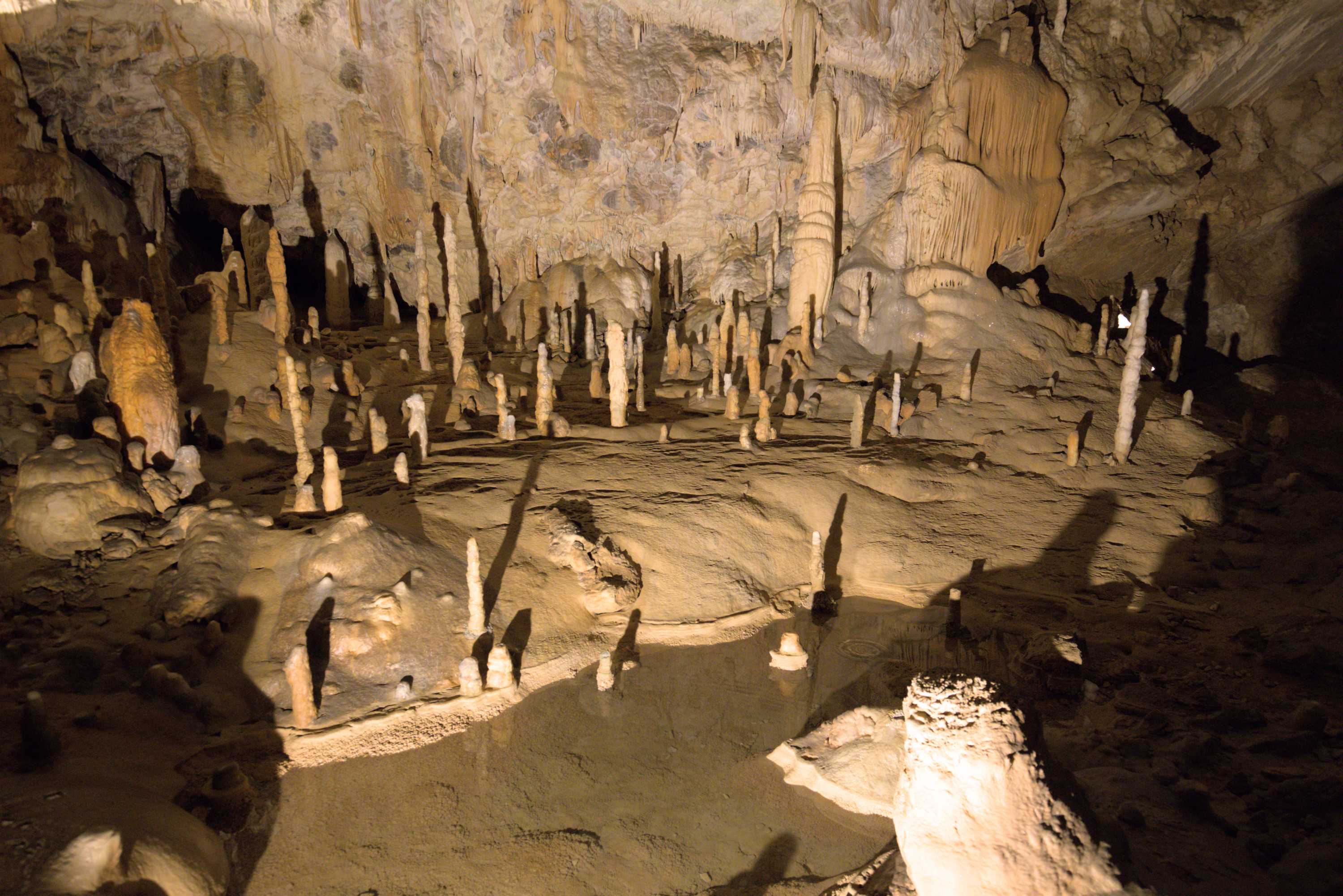 Lokation: Slowenien | Ostslowenien | Küstenland-Innerkrain | Postojna Kategorien: Höhle, Datum: 16.09.2022