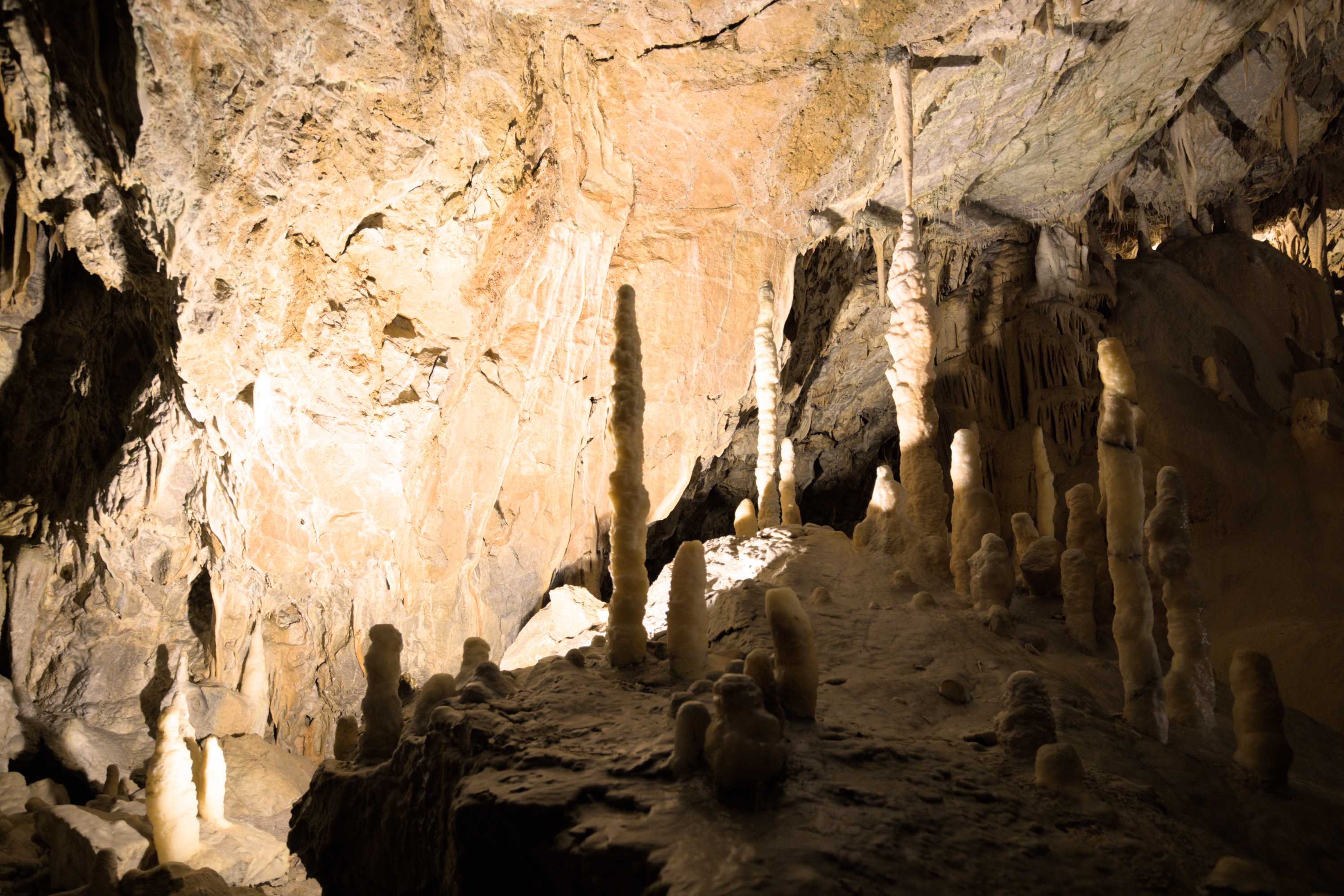 Lokation: Slowenien | Ostslowenien | Küstenland-Innerkrain | Postojna Kategorien: Höhle, Datum: 16.09.2022