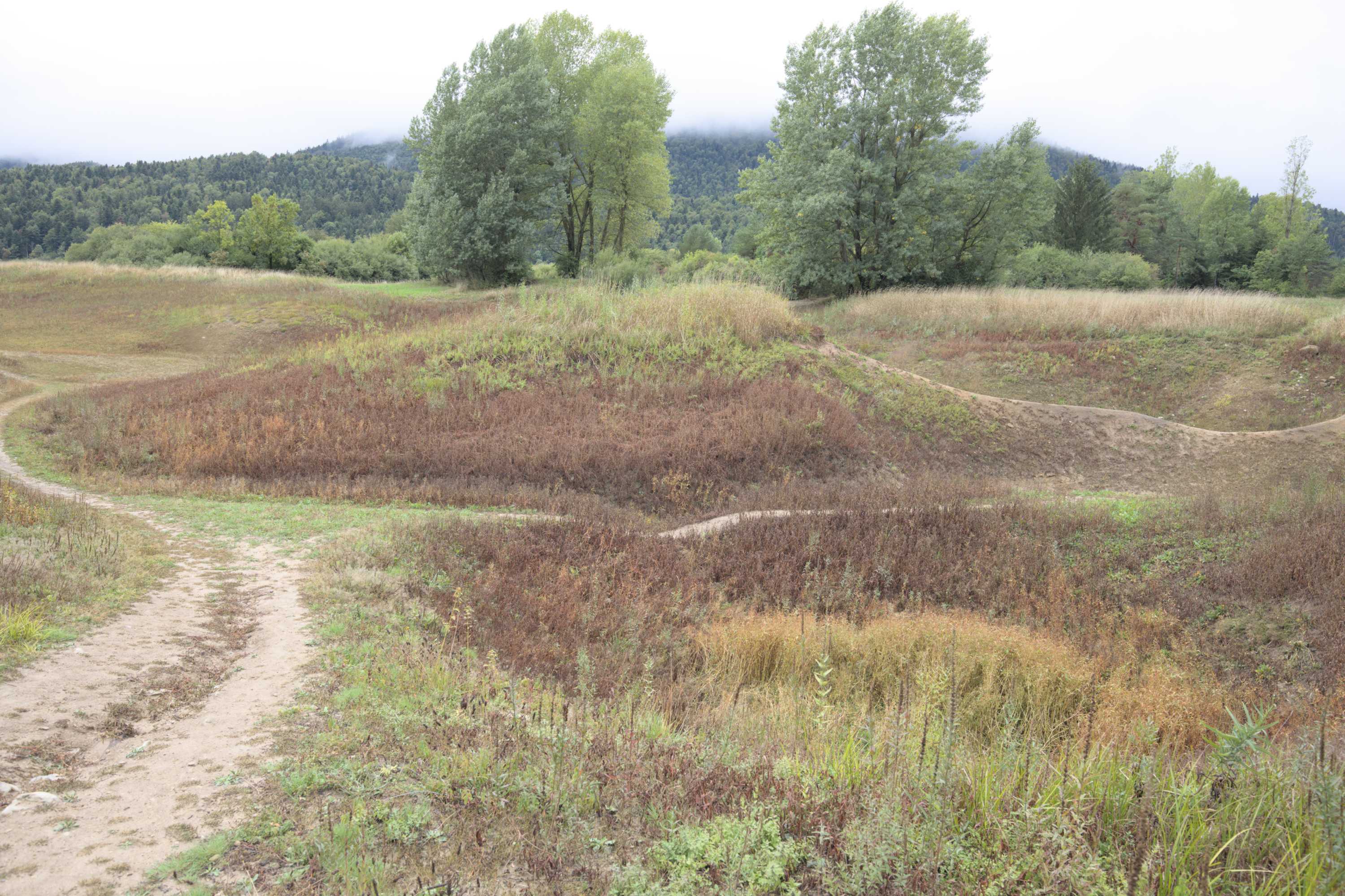 Lokation: Slowenien | Ostslowenien | Küstenland-Innerkrain | Cerknica Kategorien: Vegetation, Datum: 16.09.2022
