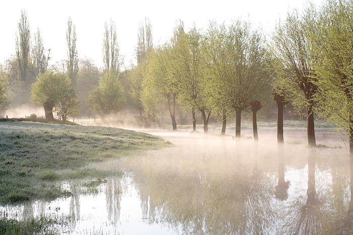 Lokation: Brücker Bruch Kategorien: Nebel, Datum: 21.04.2005